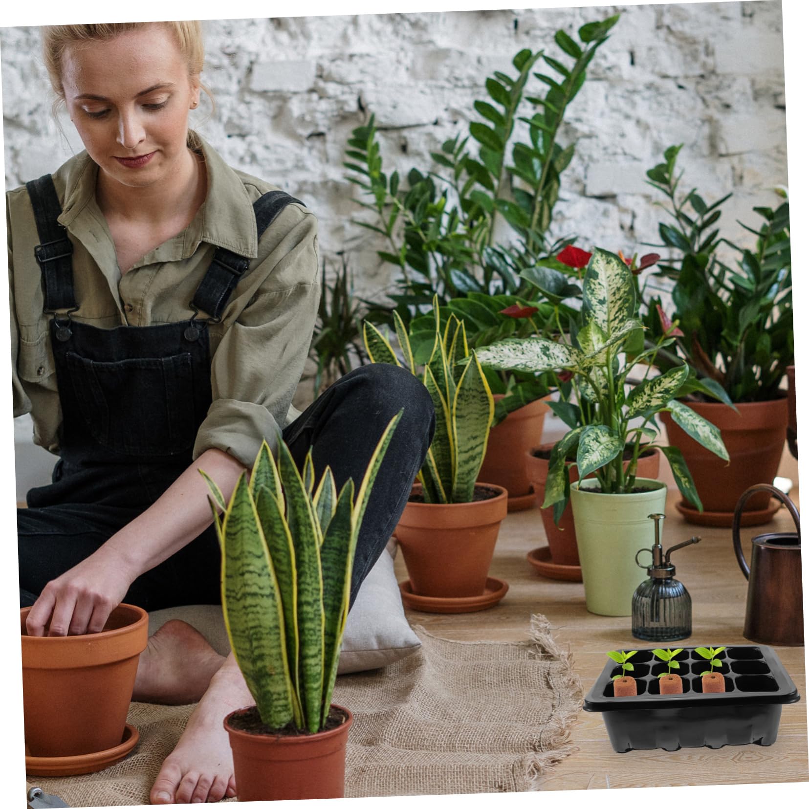 Sosoport 4 Ensembles Boîte À Semis Coffret Jardinage Bac De Culture Conteneur De Démarrage Bac De Plantation Plateaux De Culture De Légumes Accessoire De Plantation Plastique 6 Pièces * 4