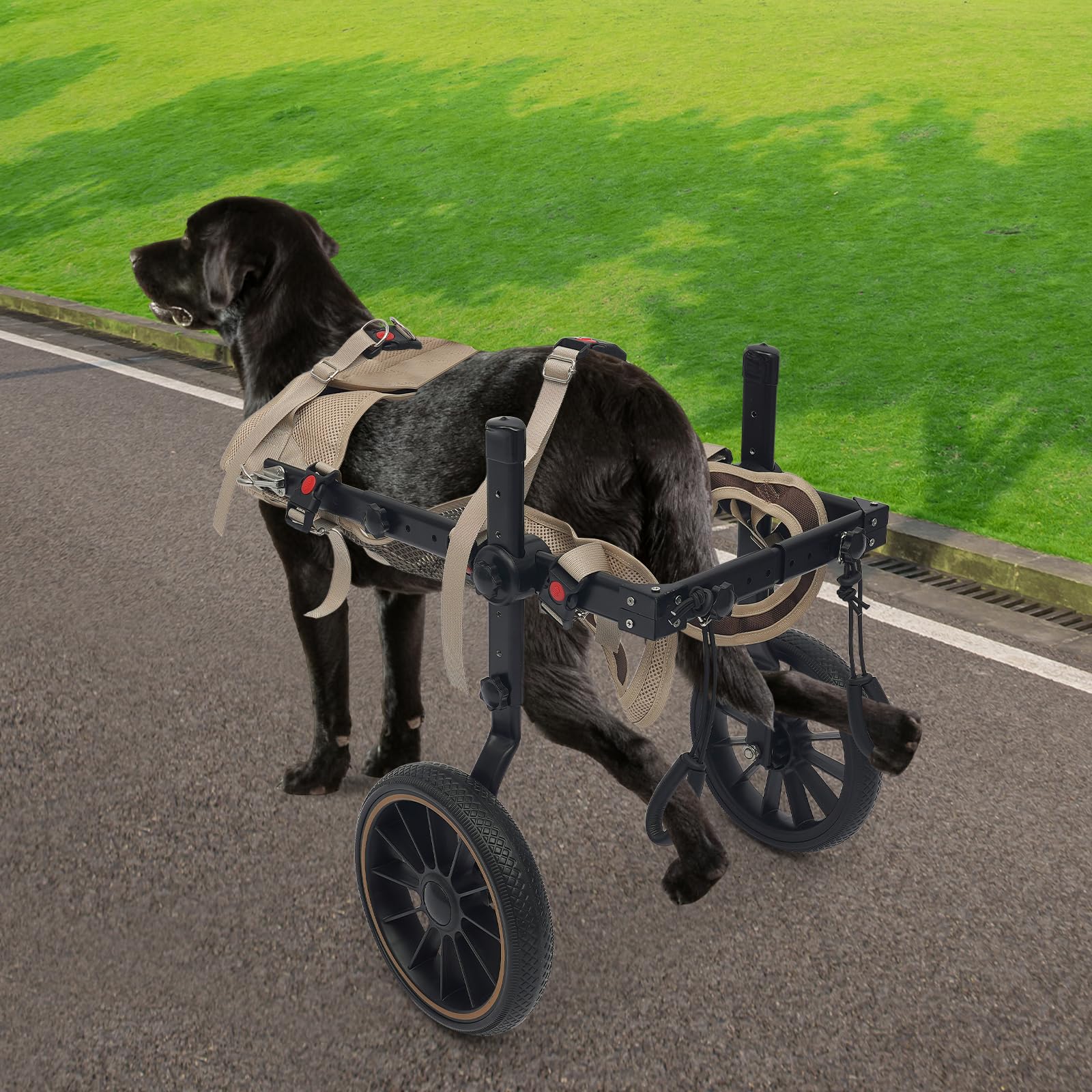 Silla de ruedas para perros XL, silla de ruedas de aluminio para perros grandes, silla de ruedas de perro ajustable, patas traseras, ruedas de goma antivibración, tejido de malla