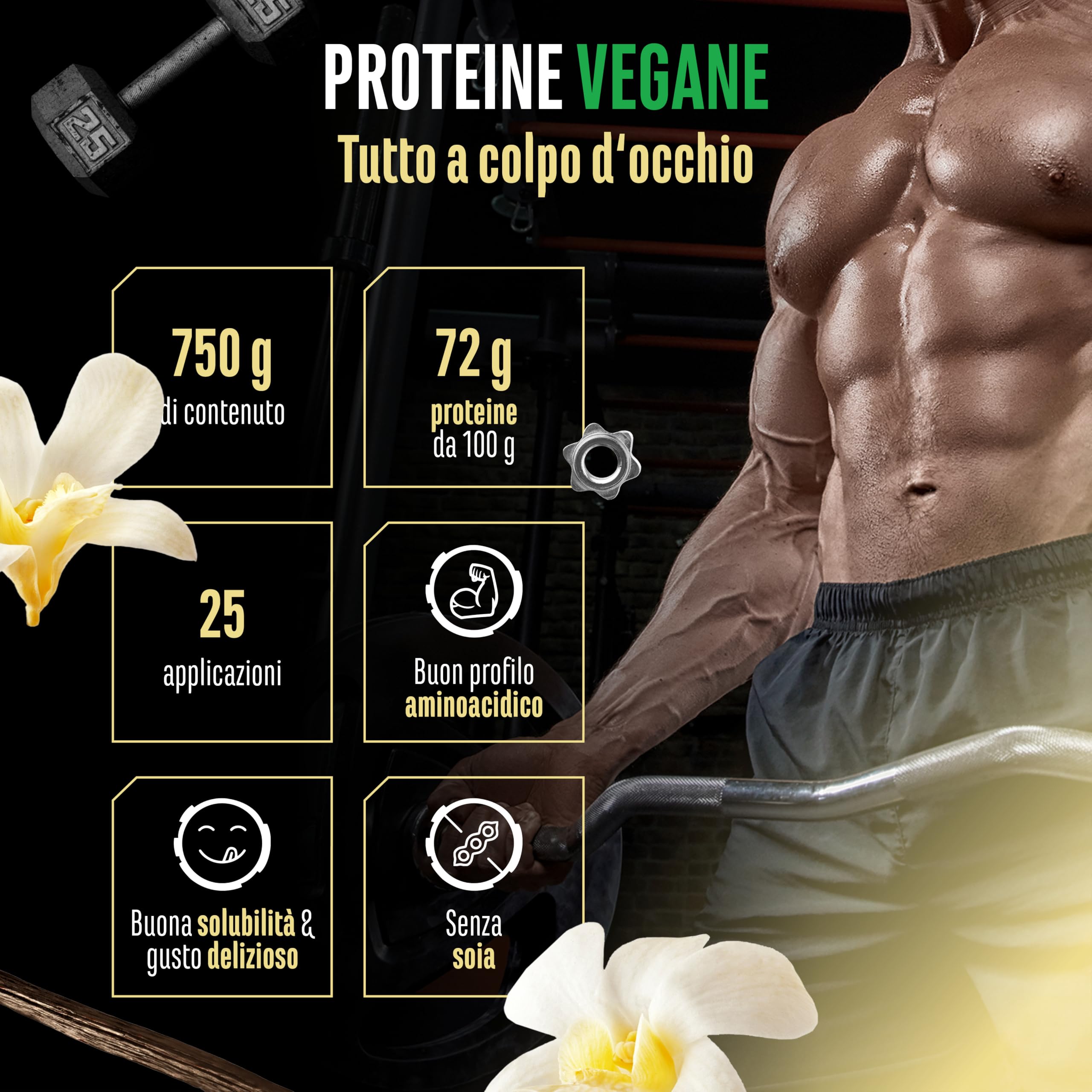 Proteine vegane in polvere - Proteine vegetali da piselli, riso, mandorle e canapa - Senza soia - Deliziose e cremose - (750 g, vaniglia)