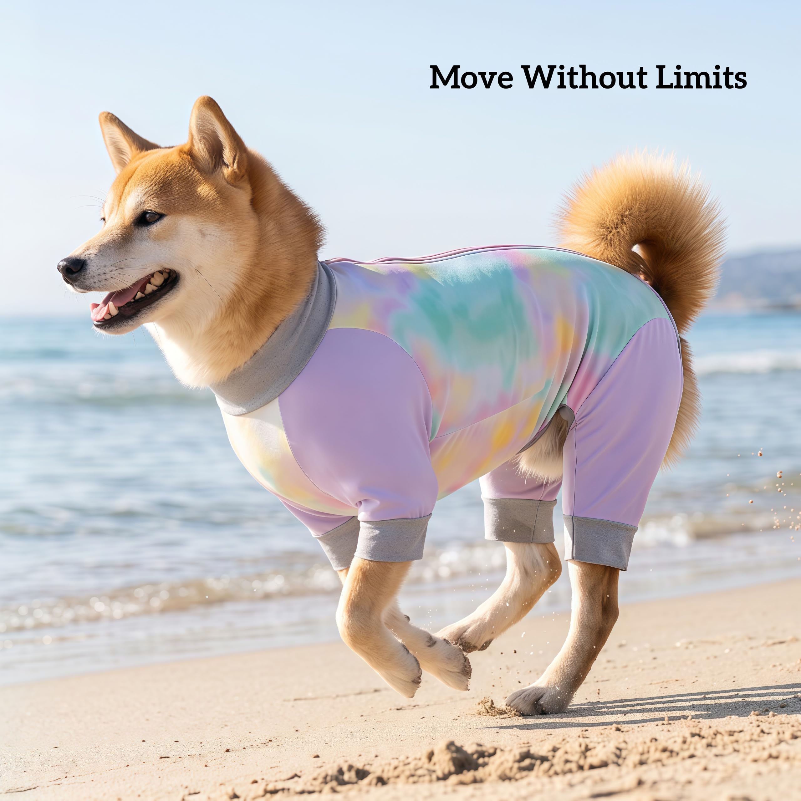 https://m.media-amazon.com/images/I/81izNuCeexL.jpg