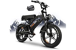 1000w Electric Bike Fat Tire Electric Bicycle Adults