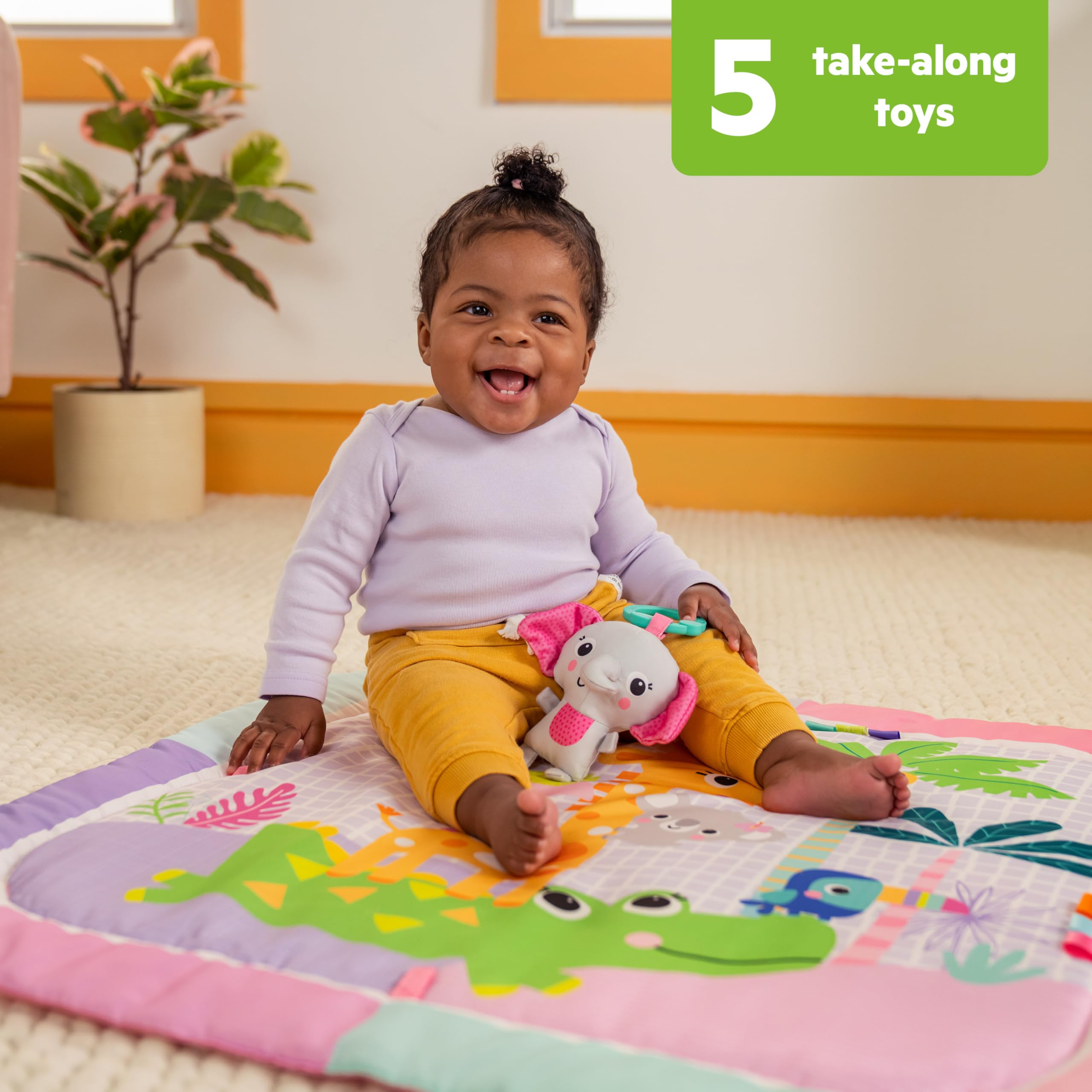 Amazon.com : Bright Starts Wild Wiggles Sweet Safari Foldaway Baby