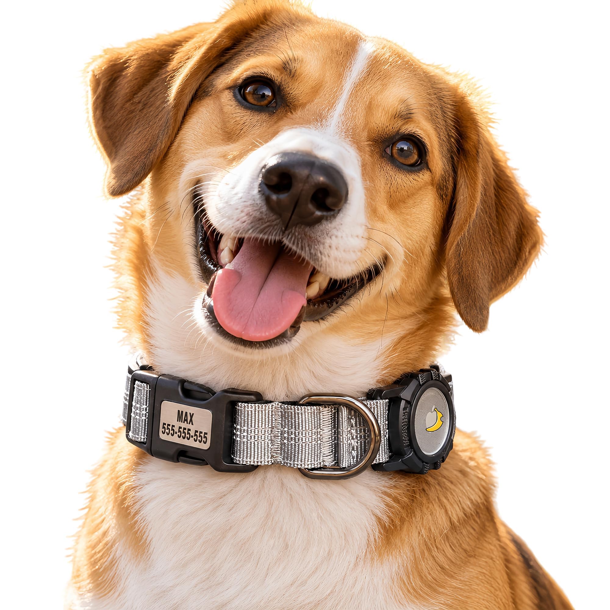 CEMULA Personalised Nylon Dog Collar Compatible with Apple AirTag