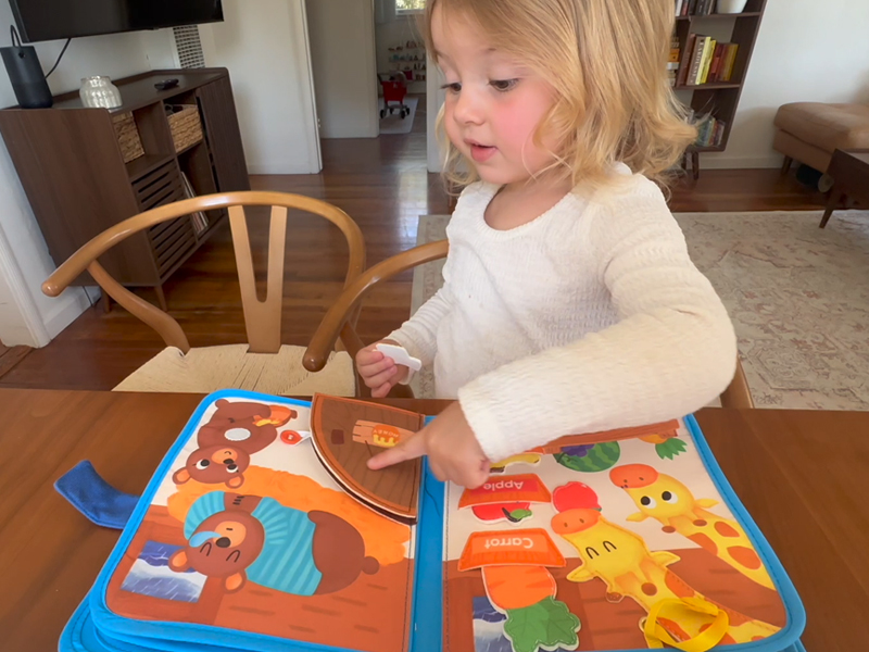 hahaland Noah's Ark Toy Busy Book for Toddlers 1-3 - Baptism Gifts for Boys Girls - Montessori Toys for 1 Year Old, Sensory Early Learning Educational One Year Old Boy Birthday Christian Church Toys