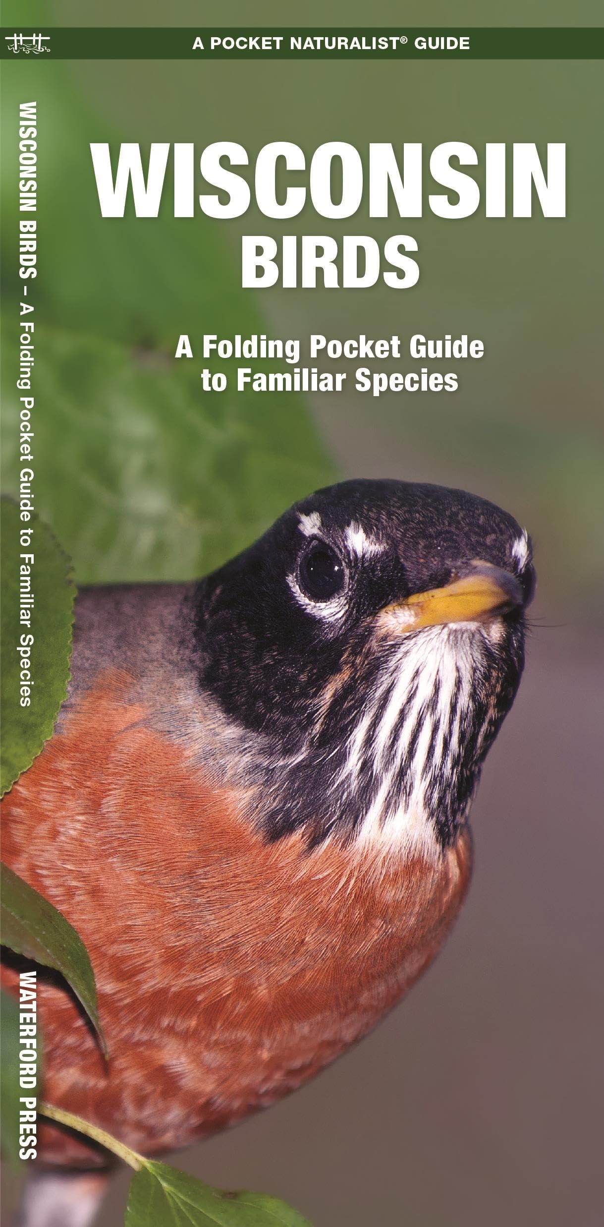 Wisconsin Birds: A Folding Pocket Guide to Familiar Species (Nature Observation North America)