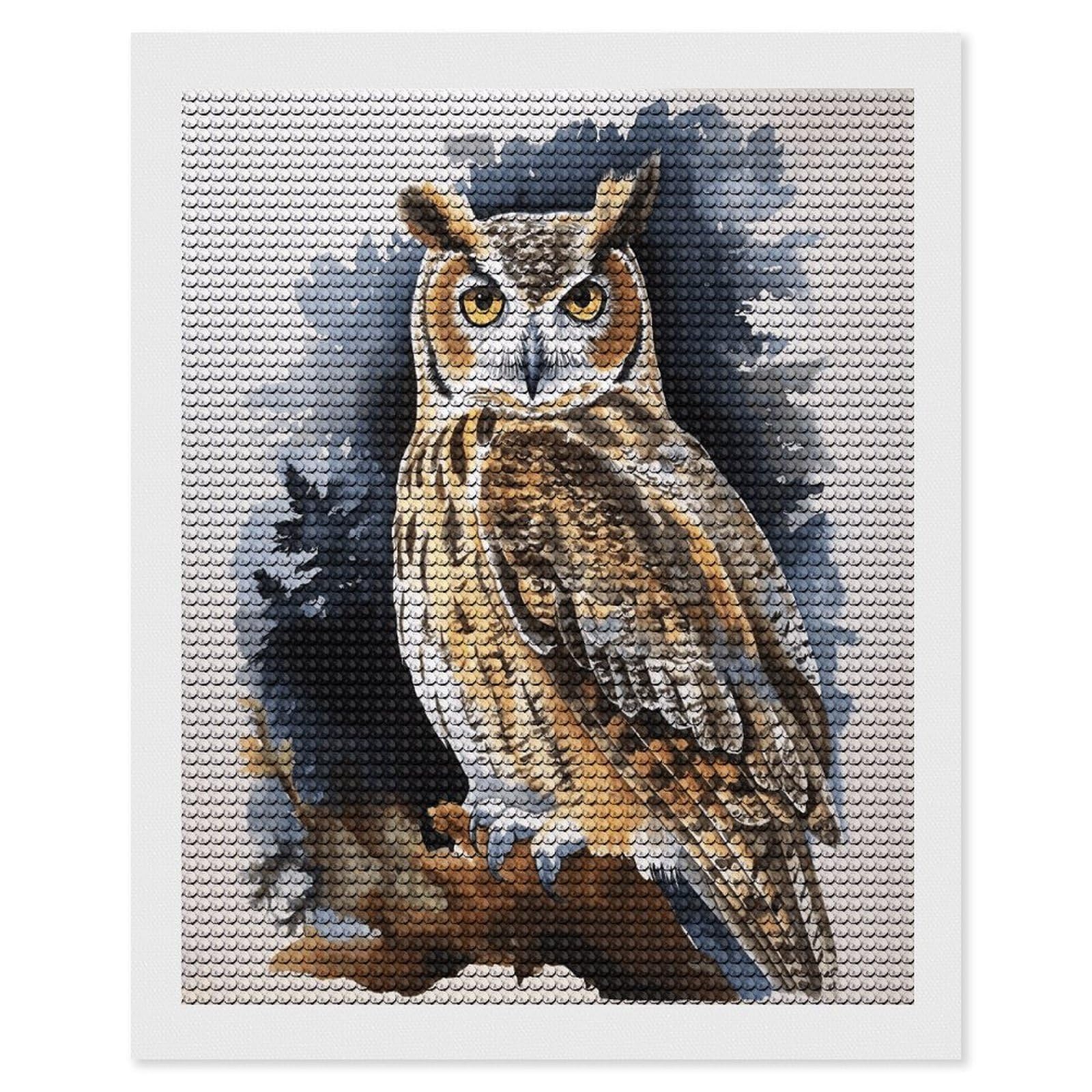 VstaDank Owl2 Diamond Painting Kits Exquisite DIY Full Round Drill Diamond Dots Painting for Adults Beginner Diamond Photo Paint with Diamond Picture Art Wall Decor 16"x20"