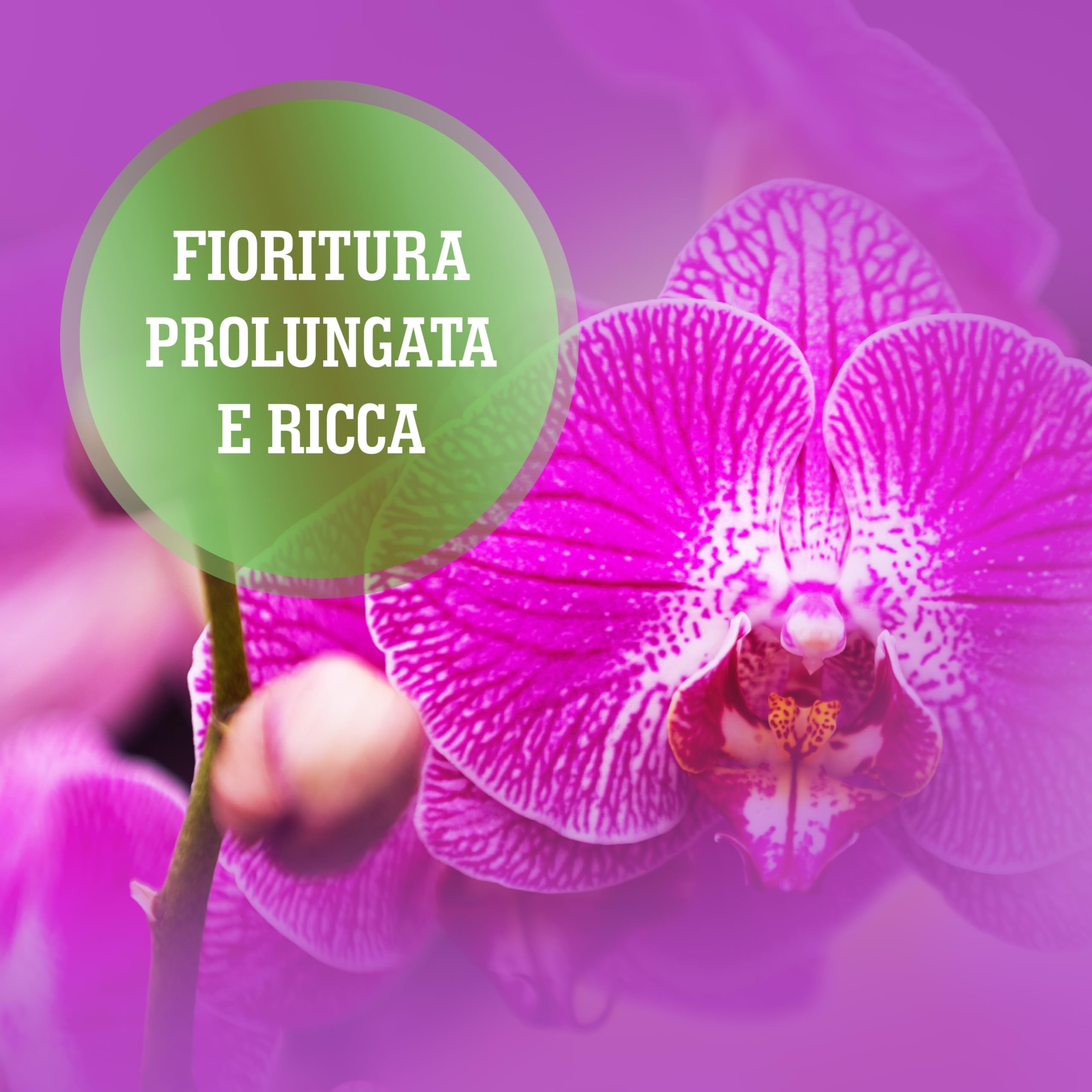 LERAVA concime orchidee liquido – 330ml con tapo dosatore - concime per orchidee per una fioritura ricca - nutrimento bilanciata con microelementi chelati – fertillizzante orchidee “Made in Italy”