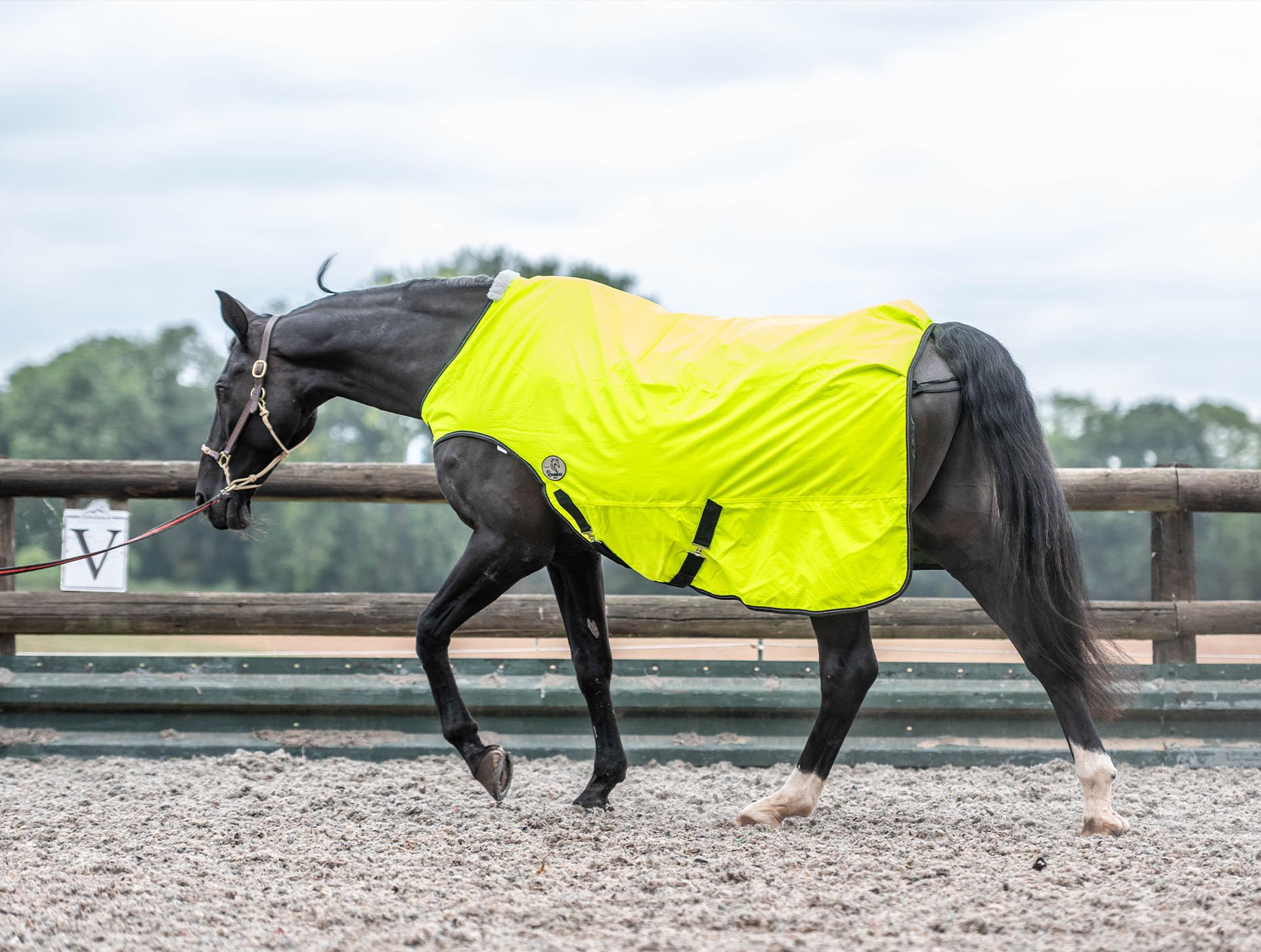 Ruggles 100g Hi Viz Horse Walker Rug | Waterproof/Breathable Outer Fabric | Ideal for Exercising on Walker Lunge or Groundwork (5' 3")
