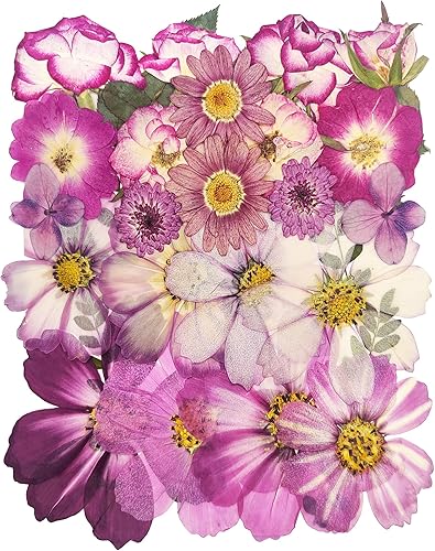 Flor prensada seca azul grande para resina, grandes hojas florales de presión de naturaleza real para manualidades, molde, fabricación de joyas,