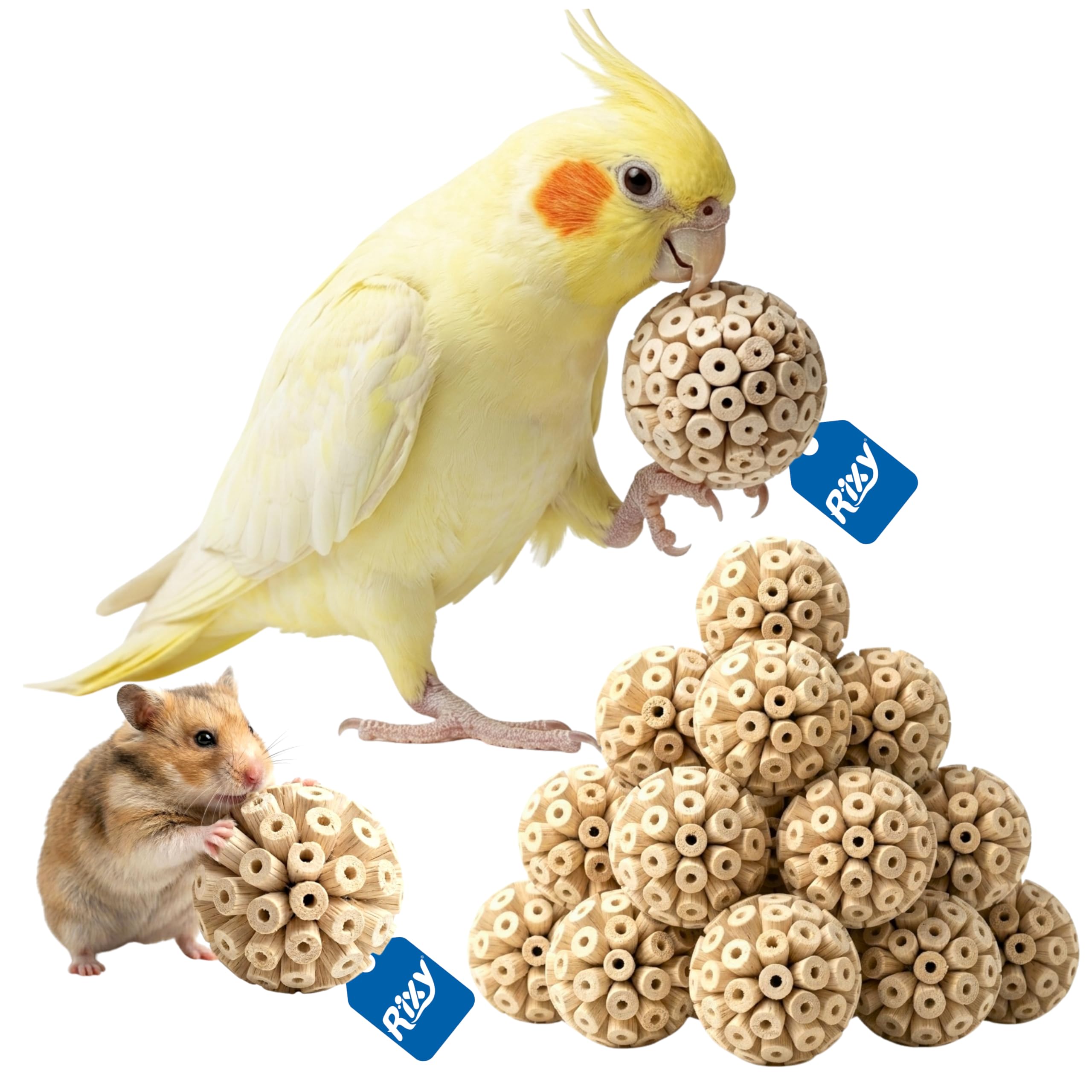 rixy natural soft wood chew ball toy for birds & small animals - 6 cm diameter (pack of 10) | lightweight chew balls for parrots, cockatiels & budgies, hamsters, guinea pigs, rabbits & sugar gliders