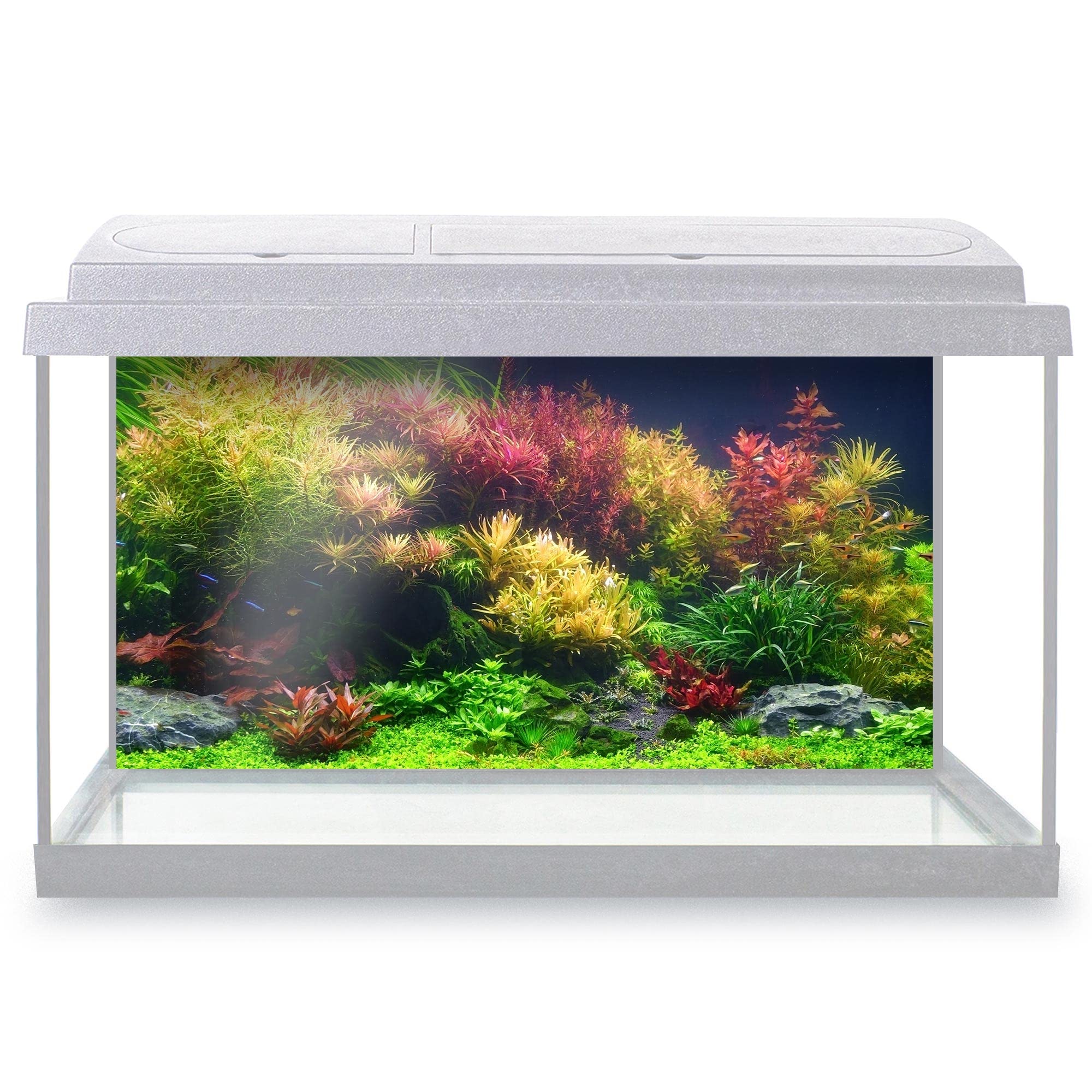 DV DESIGN Aquarium Fish Tank Background 60x30 cm - Colorful Aquatic Plants Tank Marine Landscape Underwater World Static Cling Vinyl Vivarium Terrarium External Application #500032