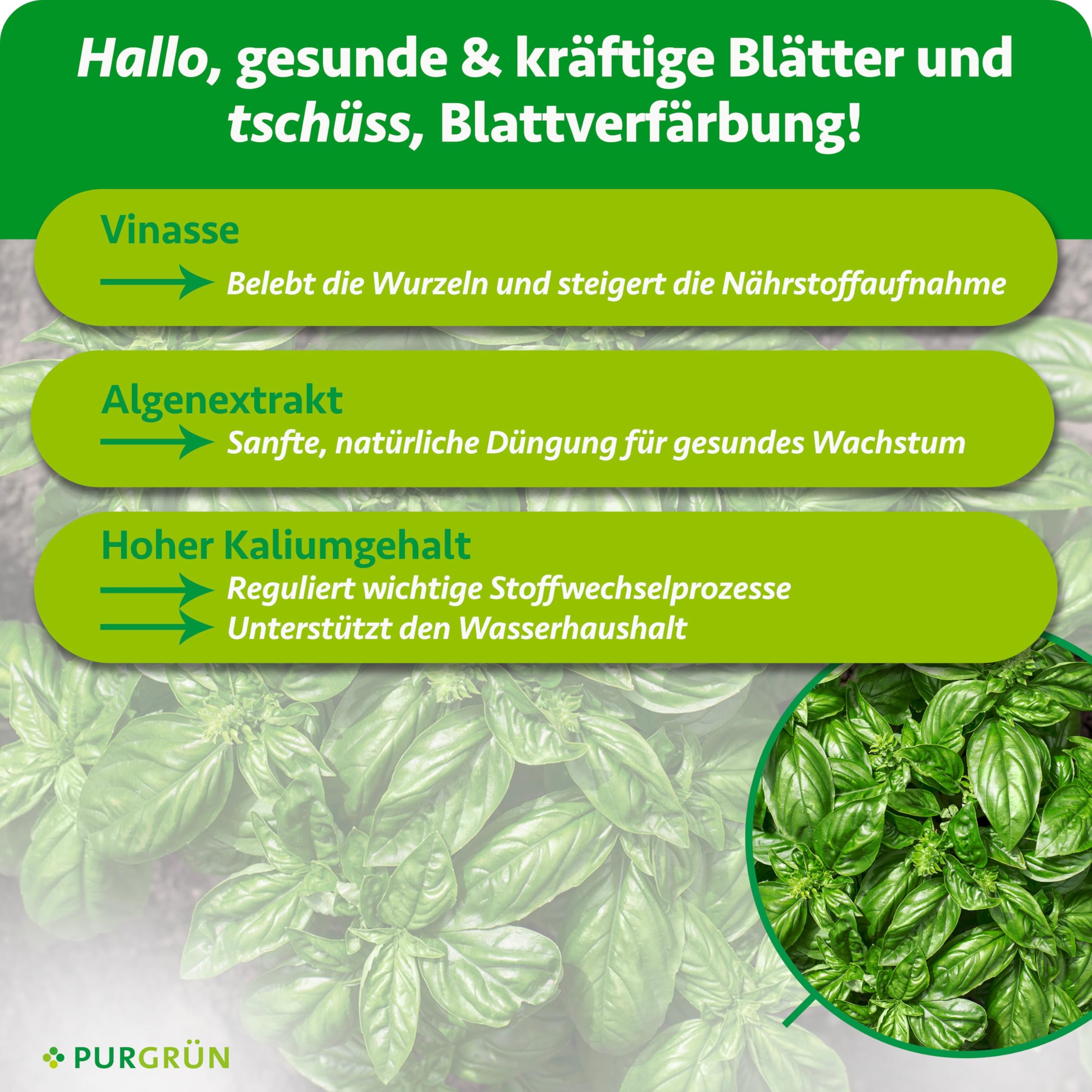 Bio-Basilikum-Dünger 1 Liter – Organische Rezeptur – Premium-Flüssigdünger – NPK 4+1+7 – Mit Algenextrakt & Vinasse – Extra Kalium für buschiges Wachstum – Ohne tierische Inhaltsstoffe