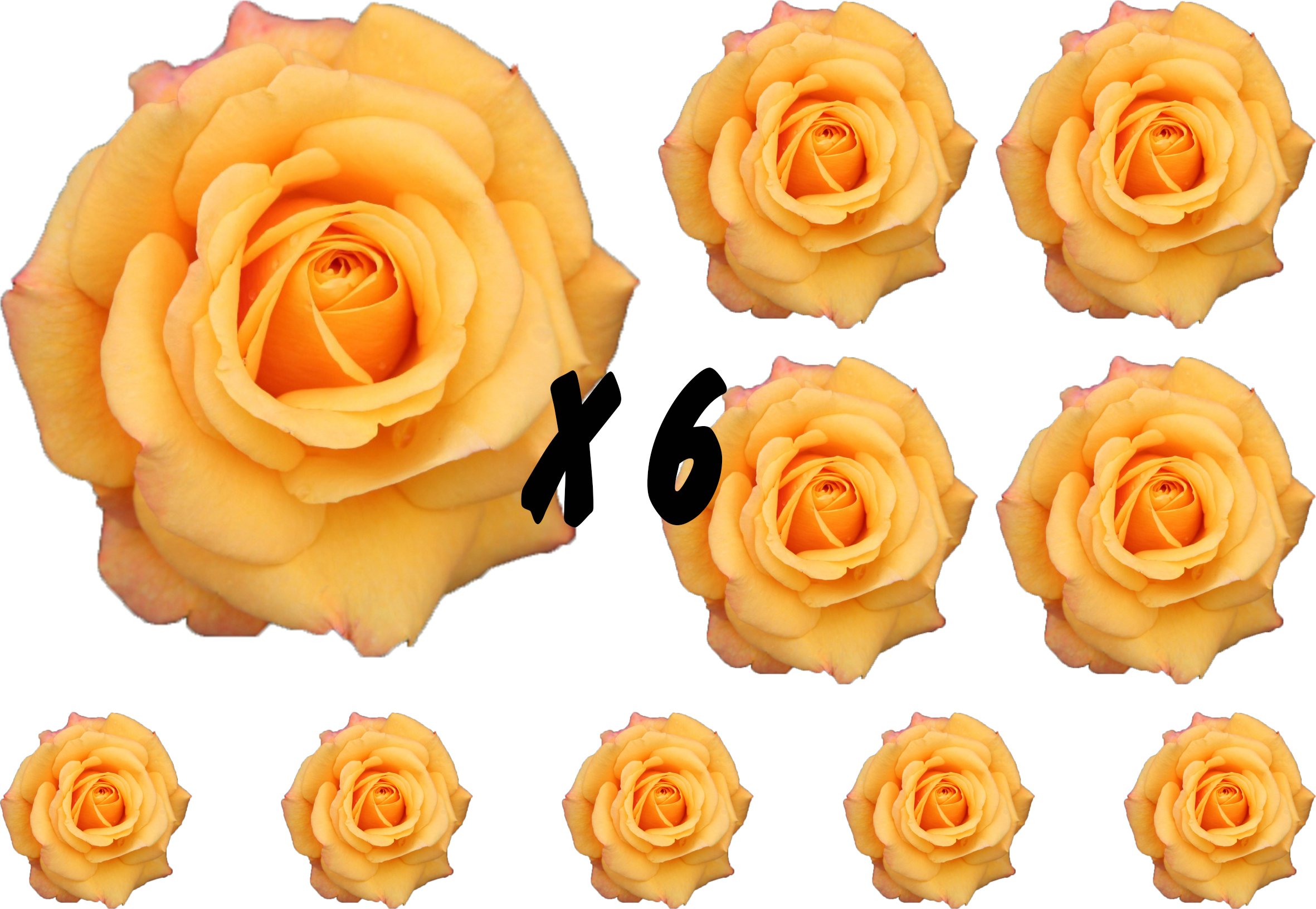 Yellow Rose Flower Decals Car Stickers Graphics Nursery Wall Window Decorations Art 10 Pack (60)