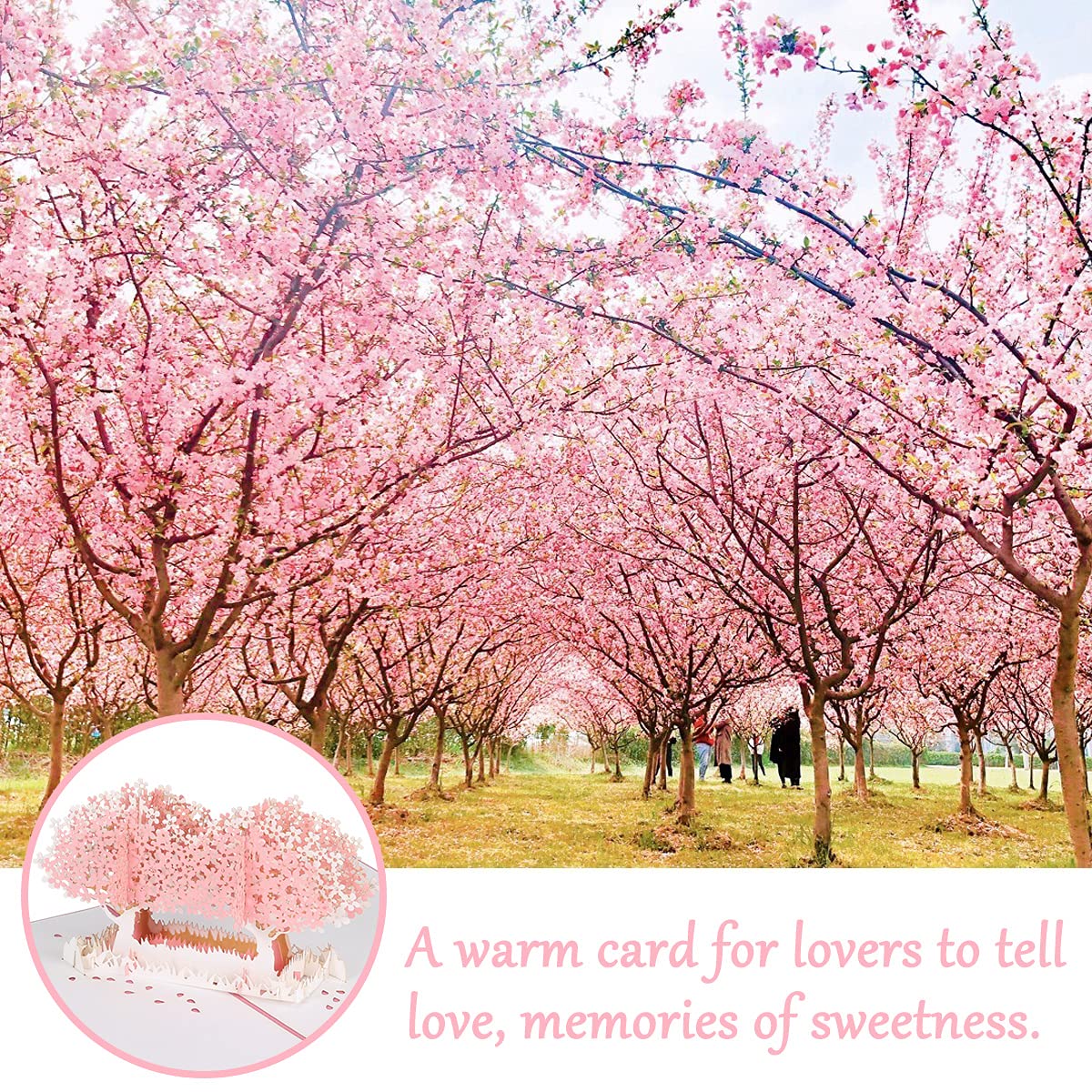 Geburtstagskarte Geschenke Karten, 3D Pop-Up Cards Flowers Pink Trees Pink A & B 15x20 cm Folded Birthday Valentine’s Day Greeting Card(Pink A)