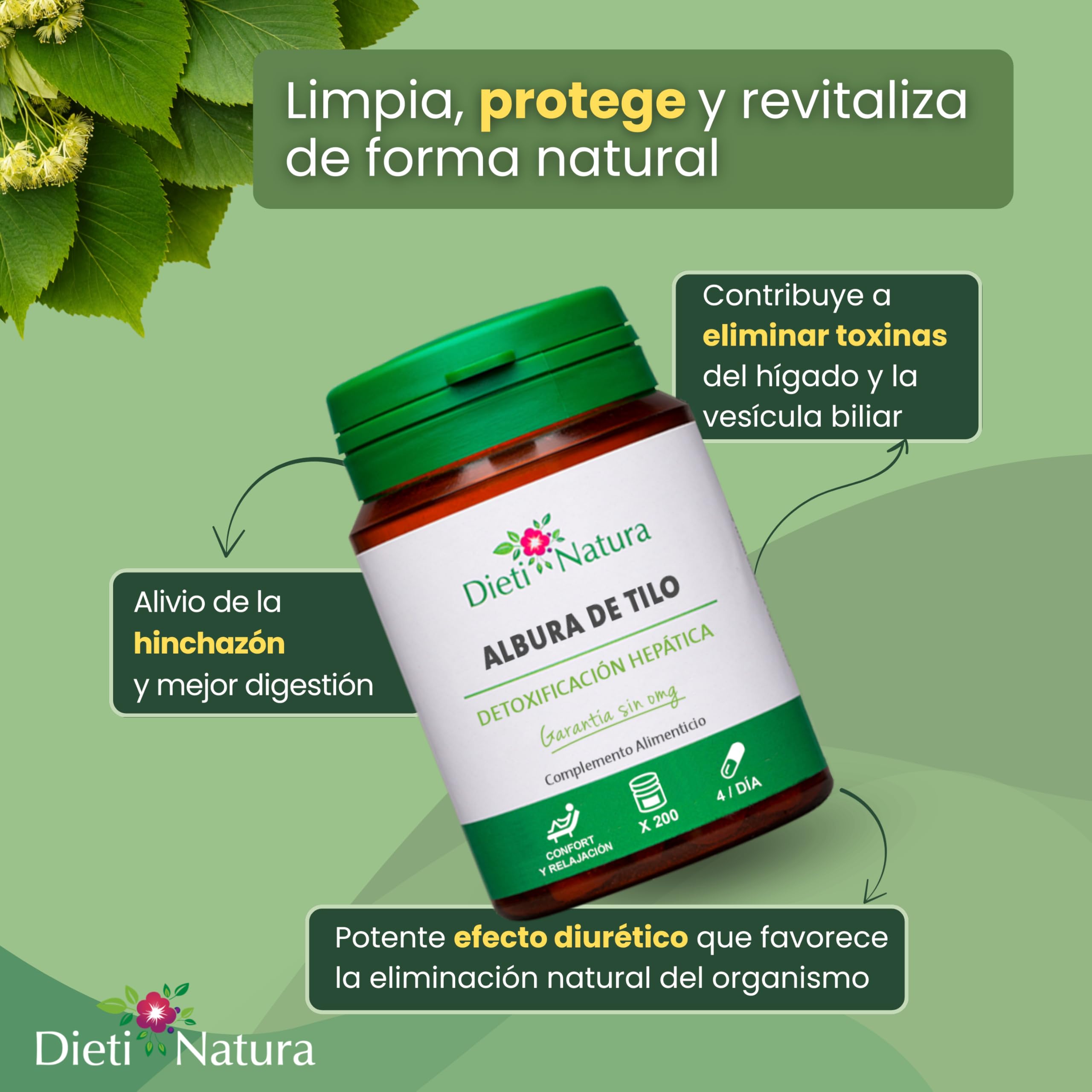 Dieti Natura Albura de Tilo Detoxificación Hepática y Bienestar Digestivo - 2480mg extracto 4:1 - Albura de Tilo Rica en Activos Naturales - Depuración Hígado y Vesícula (Pack de 3)