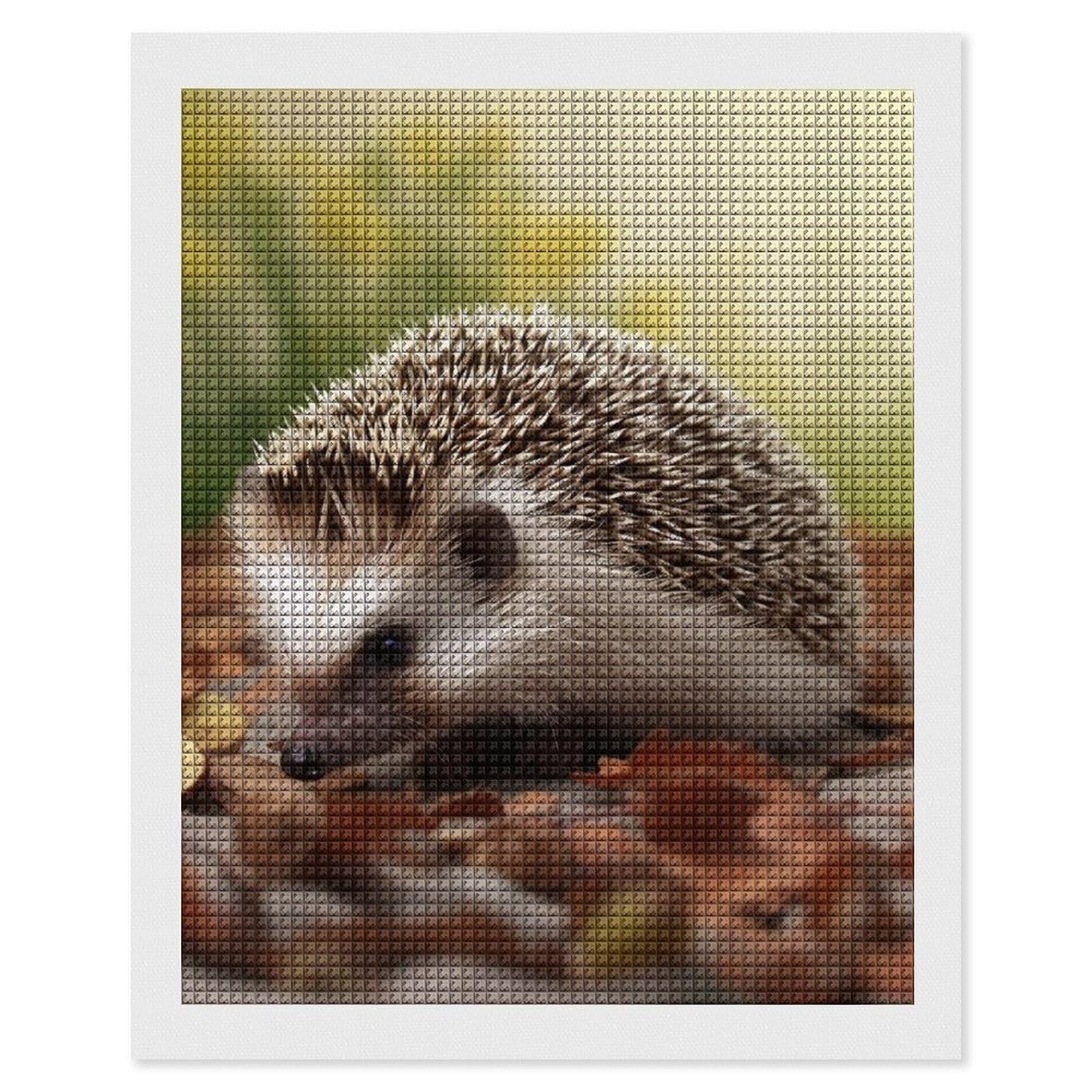 Hedgehog Diamond Art Kits for Adults, DIY 5D Diamonds Painting Kits for Beginner, Round Full Drill Diamond Dots Painting, 16"x20" Diamonds Pictures Gem Art and Crafts Wall Decor