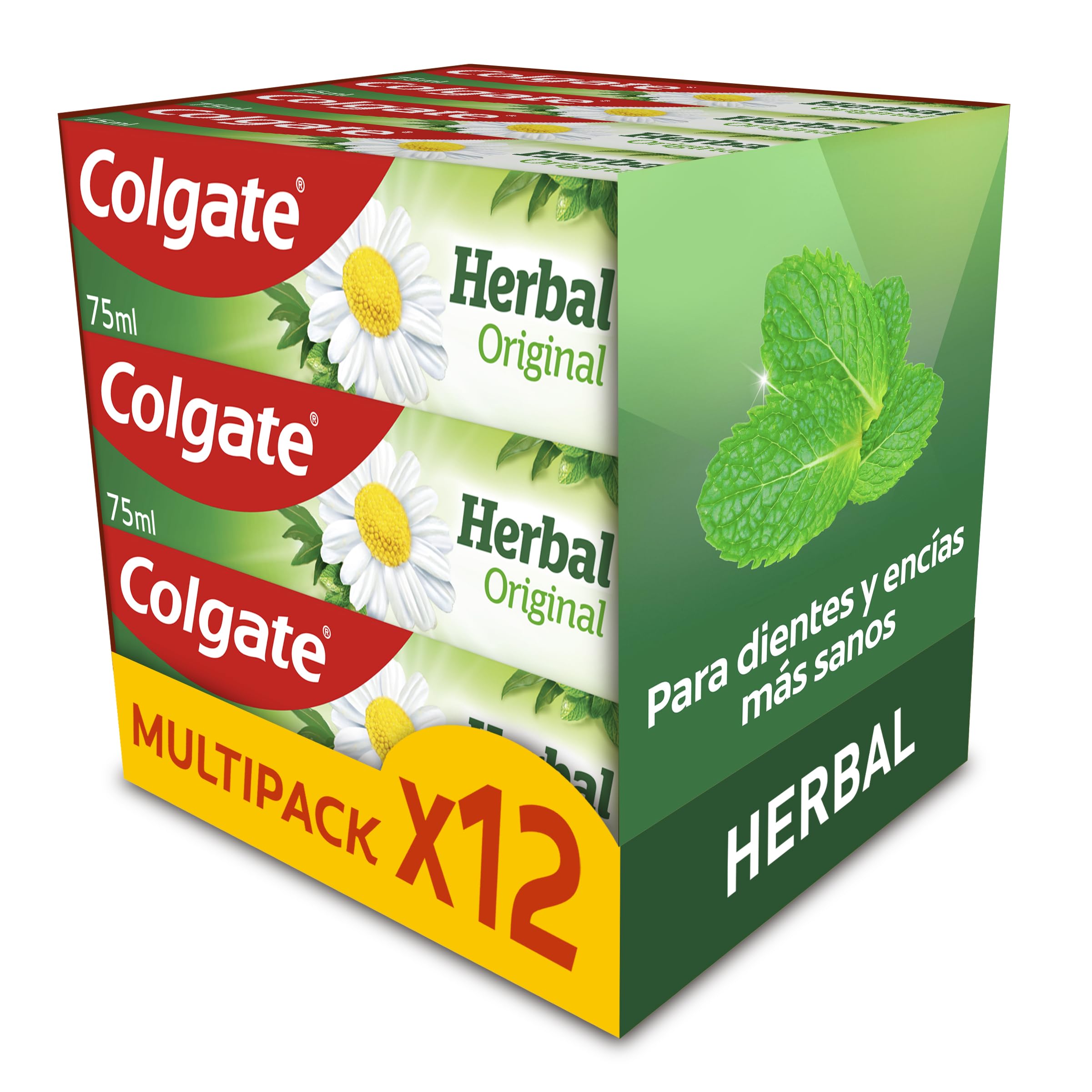 COLGATE Colgate Herbal Zahnpasta, 12 x 75 ml, Eukalyptus, fördert starke Zähne und gesundes Zahnfleisch dank Wirkstoffen und natürlichen Extrakten