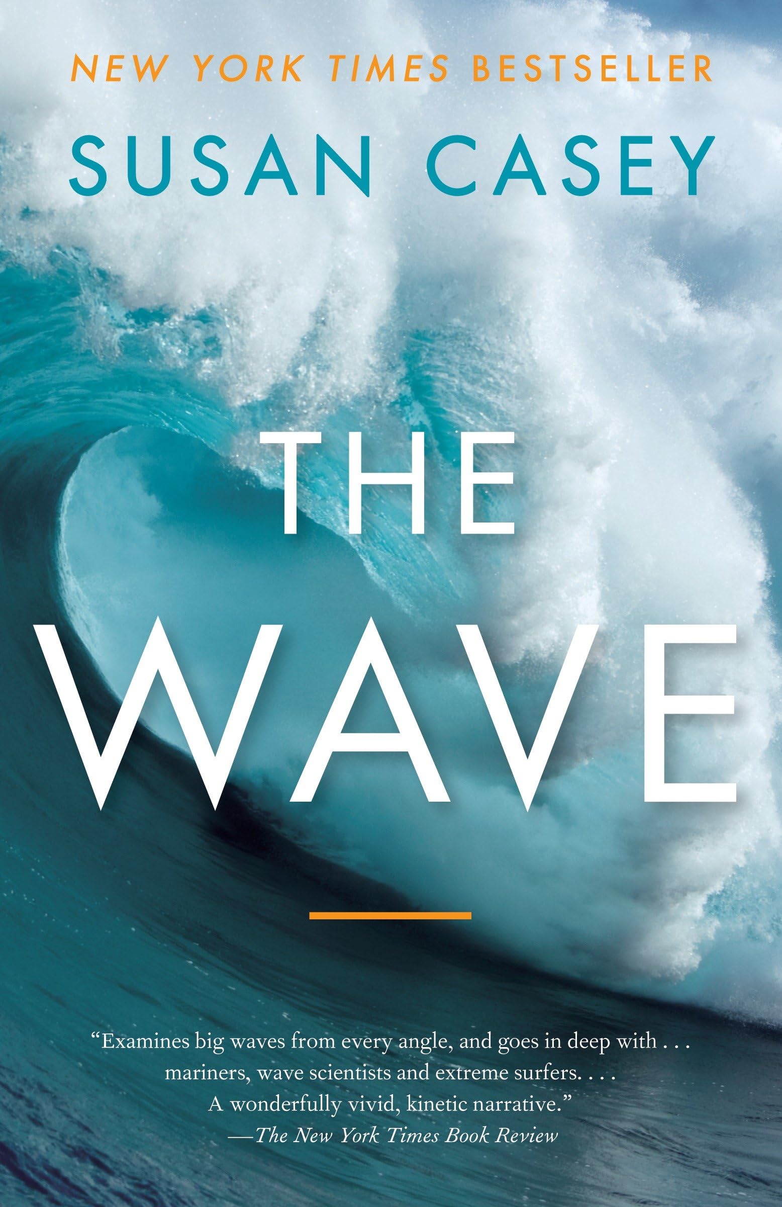 The Wave: In Pursuit of the Rogues, Freaks, and Giants of the Ocean Paperback – May 31, 2011