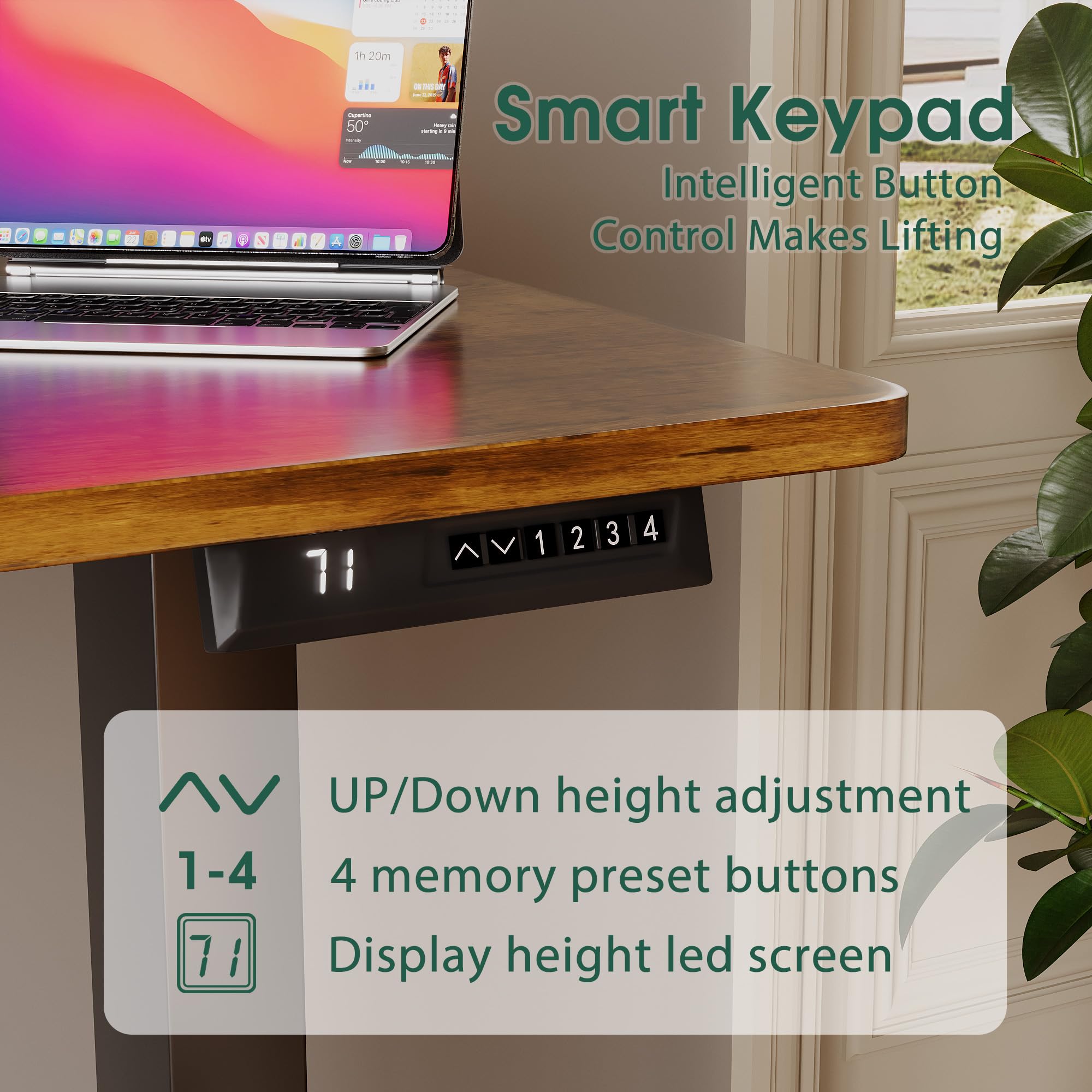 Snapklik.com : Shahoo Electric Standing Desk 60 Inch, Ergonomic Height ...