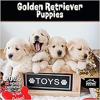 Vista 42 de MICASA PRESS Corgi Butts - Calendario de pared 2026 de 12 meses 12 x 24 pulgadas abierto Papel grueso y resistente Regalo de vacaciones