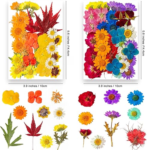 Miniatura 3 de YouthBro - 153 piezas de flores secas prensadas para resina, paquete de 4 paquetes de calcomanías de mariposa de colores mezclados de naturaleza