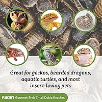 Vista 4 de Fluker's Alimento enlatado gourmet para reptiles, peces, pájaros y animales pequeños, cucarachas Dubia, 1.2 oz