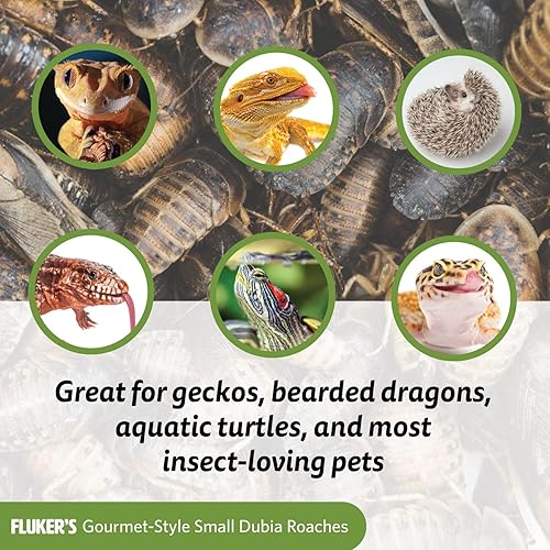 Miniatura 4 de Fluker's Alimento enlatado gourmet para reptiles, peces, pájaros y animales pequeños, cucarachas Dubia, 1.2 oz