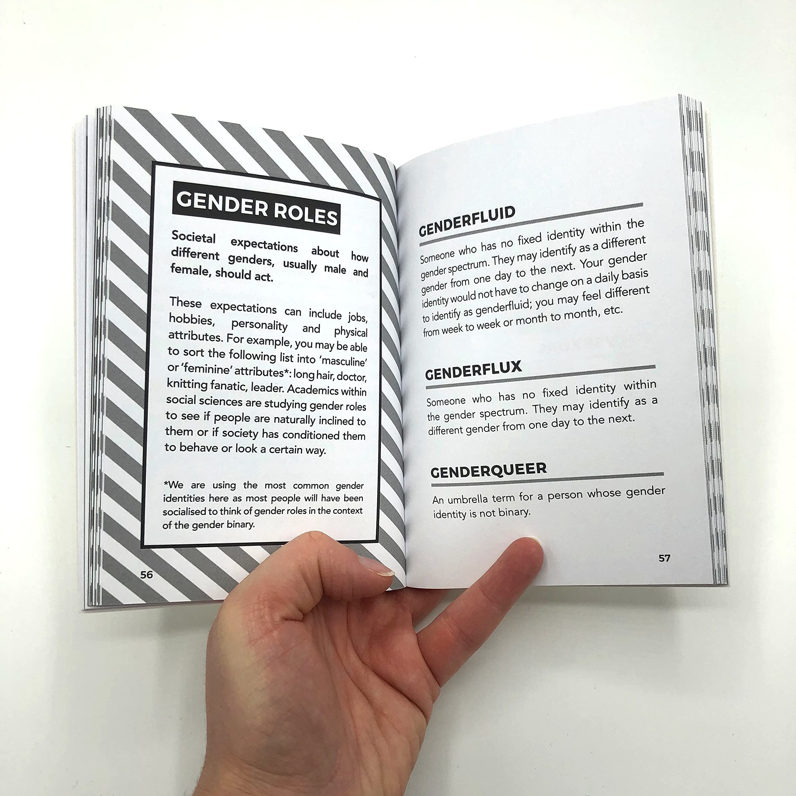 THE LITTLE BOOK OF LGBTQ+ 2
