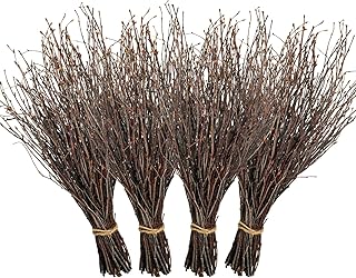 200 Pcs Real Dried Birch Branches, 17 Inch Natural Birch Twigs Tall Birc...