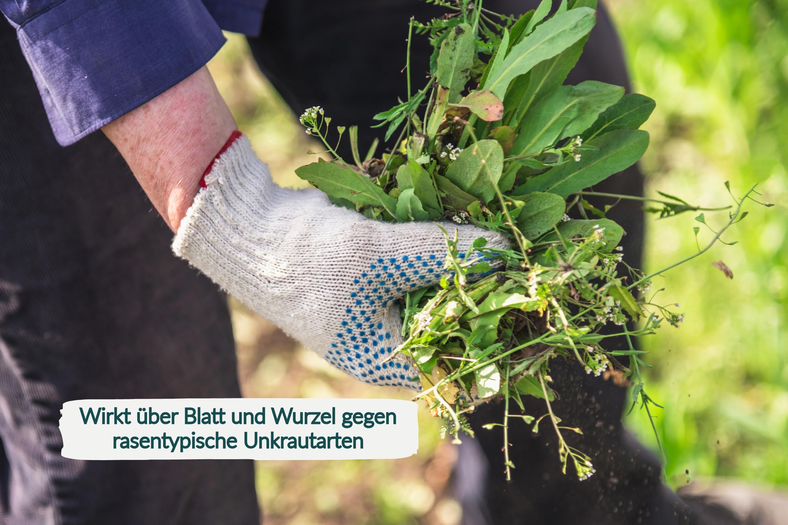 Unkrautvernichter plus Rasendünger Dünger mit UV NPK Volldünger 10 kg (1 x 10 kg)
