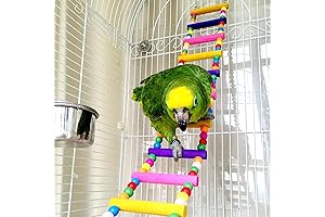 Deluxe Bird Parrot Toys Ladders and Swing Chewing Toys