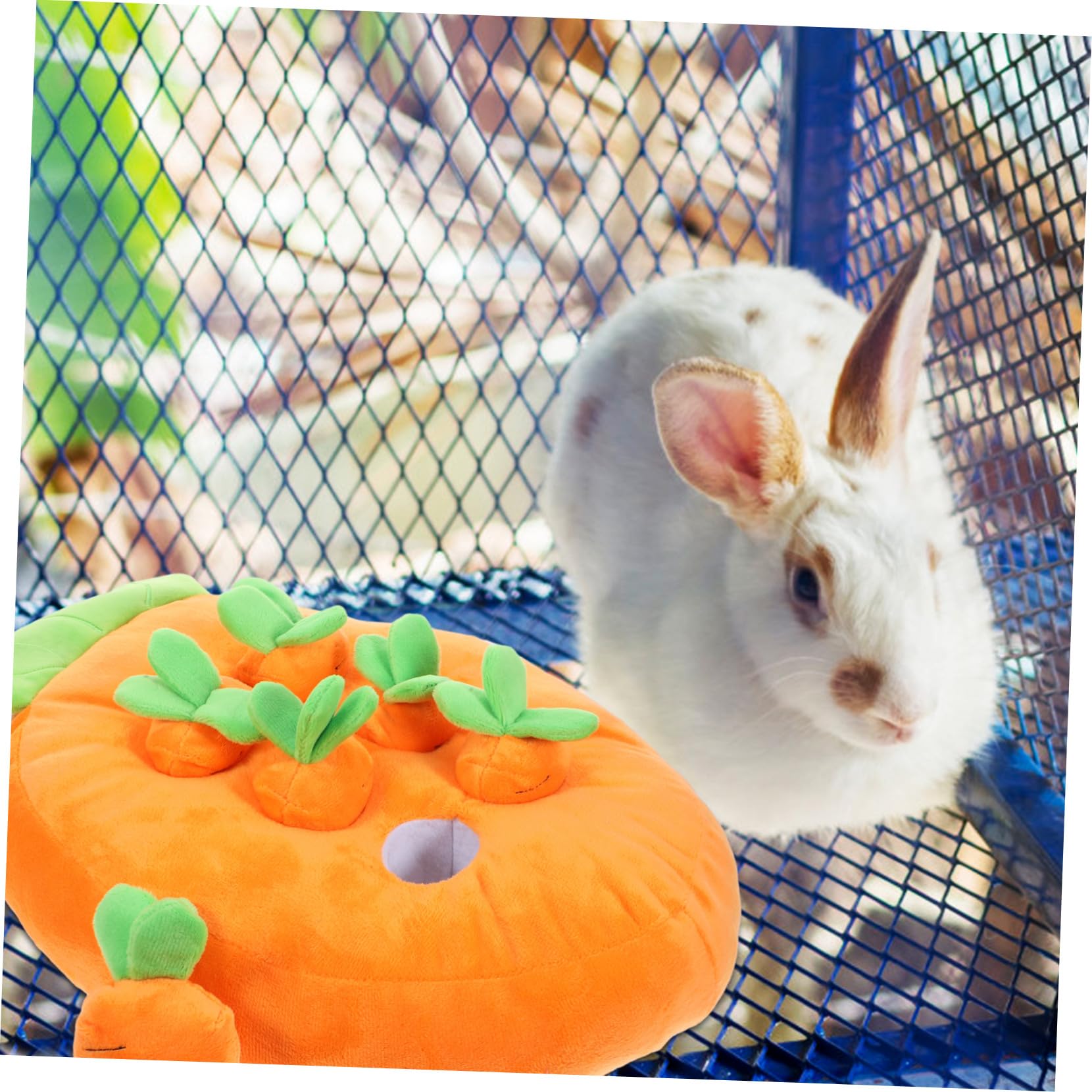 Interaktives Kaninchen Karottenform Futtermatte für Meerschweinchen Hamster Fördert Bewegung und Beschäftigung mit Versteckten Leckerlis als Süße Käfig Dekoration