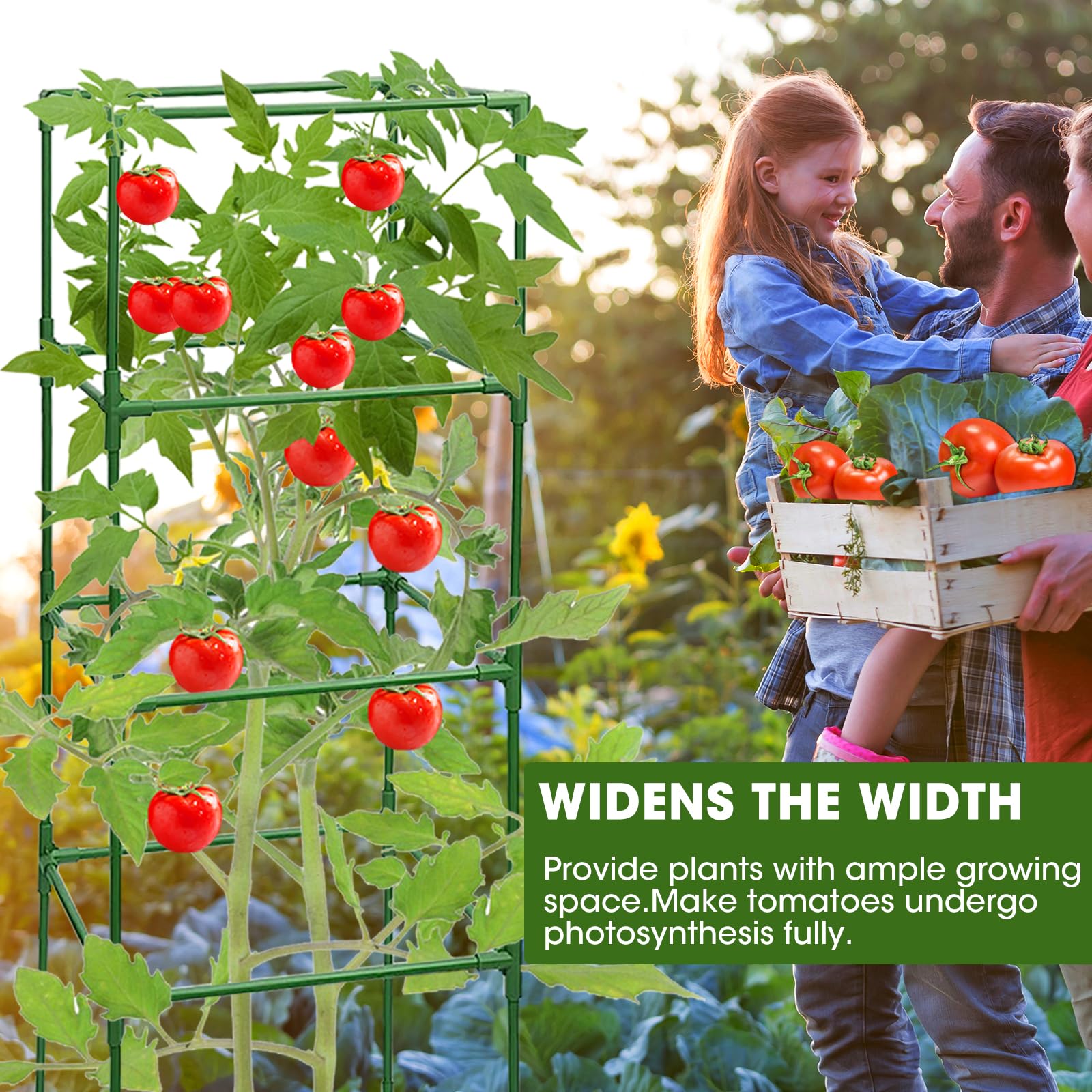 Snapklik.com : 3 Pack Tomato Cages,Square Tomato Plant Stakes Support ...