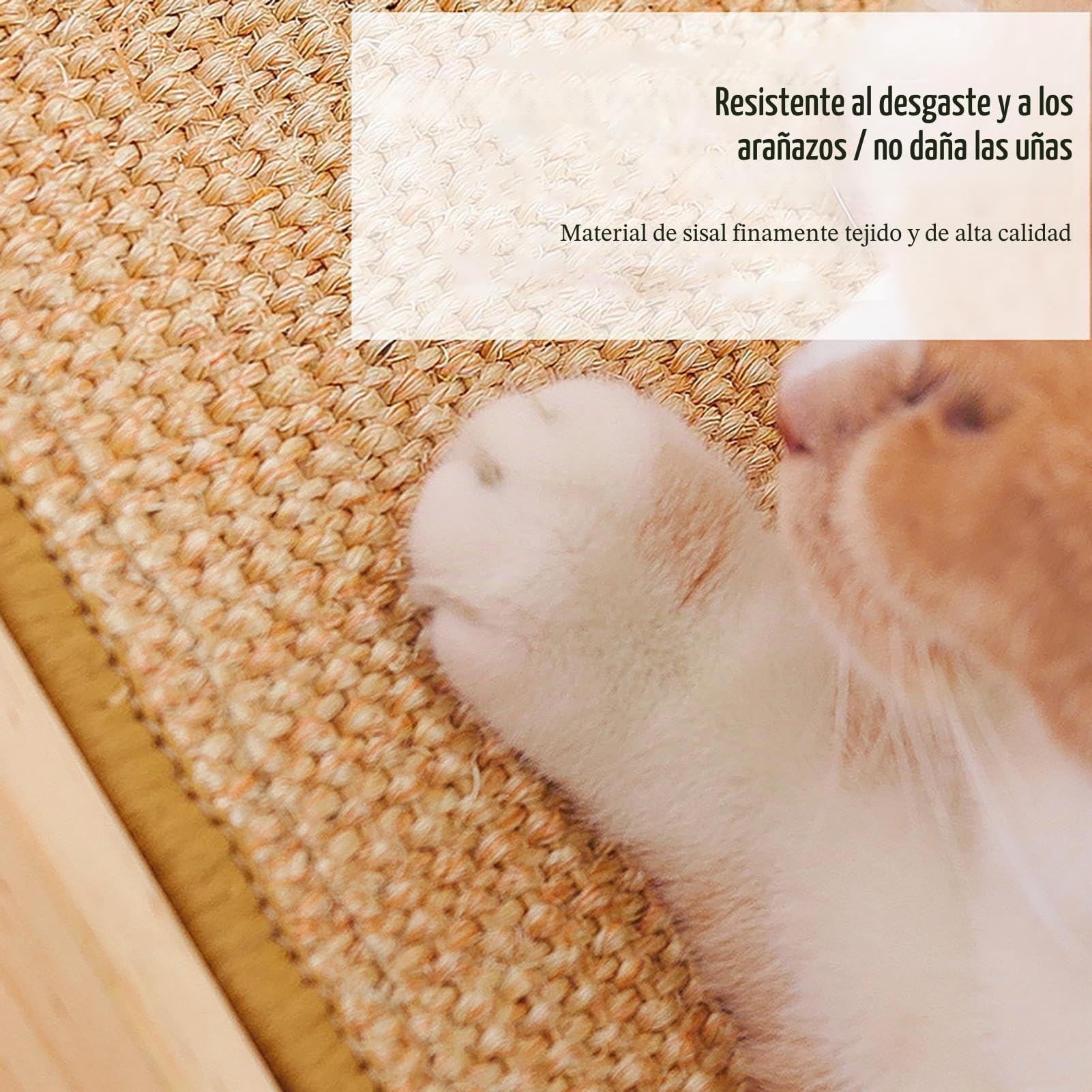 Rascador de Sisal y Rampa Duradera para Gatos de Interior con Cama Ajustable de Tres Alturas Diferentes