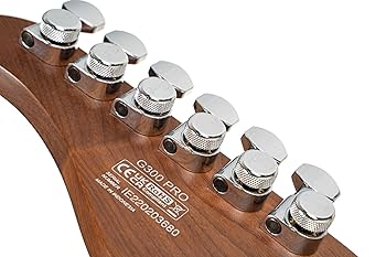 Cort / G300 Proゴールド ハムバッカー搭載・おまけ2点付き特価 Cort / G300 Proゴールド ハムバッカー搭載・おまけ2点付き特価