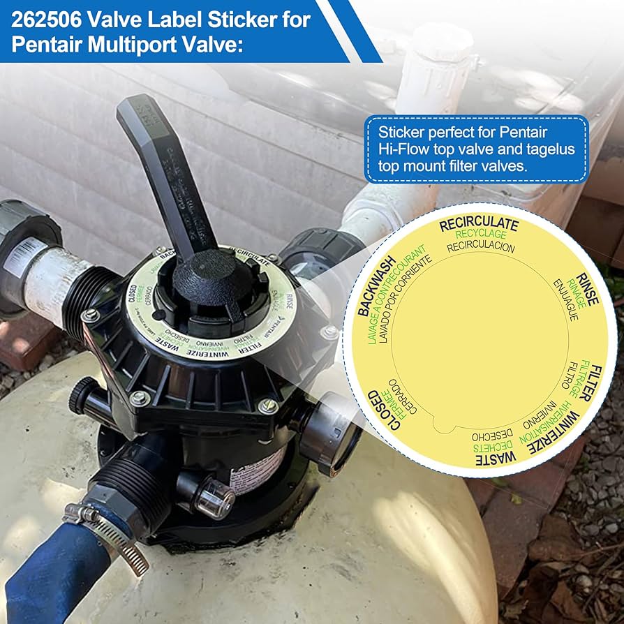 FOR YOU／VICTORIA哀愁EURO MAHARAJA Amazon.com: 272599 Sand Filter Valve Label for Pentair