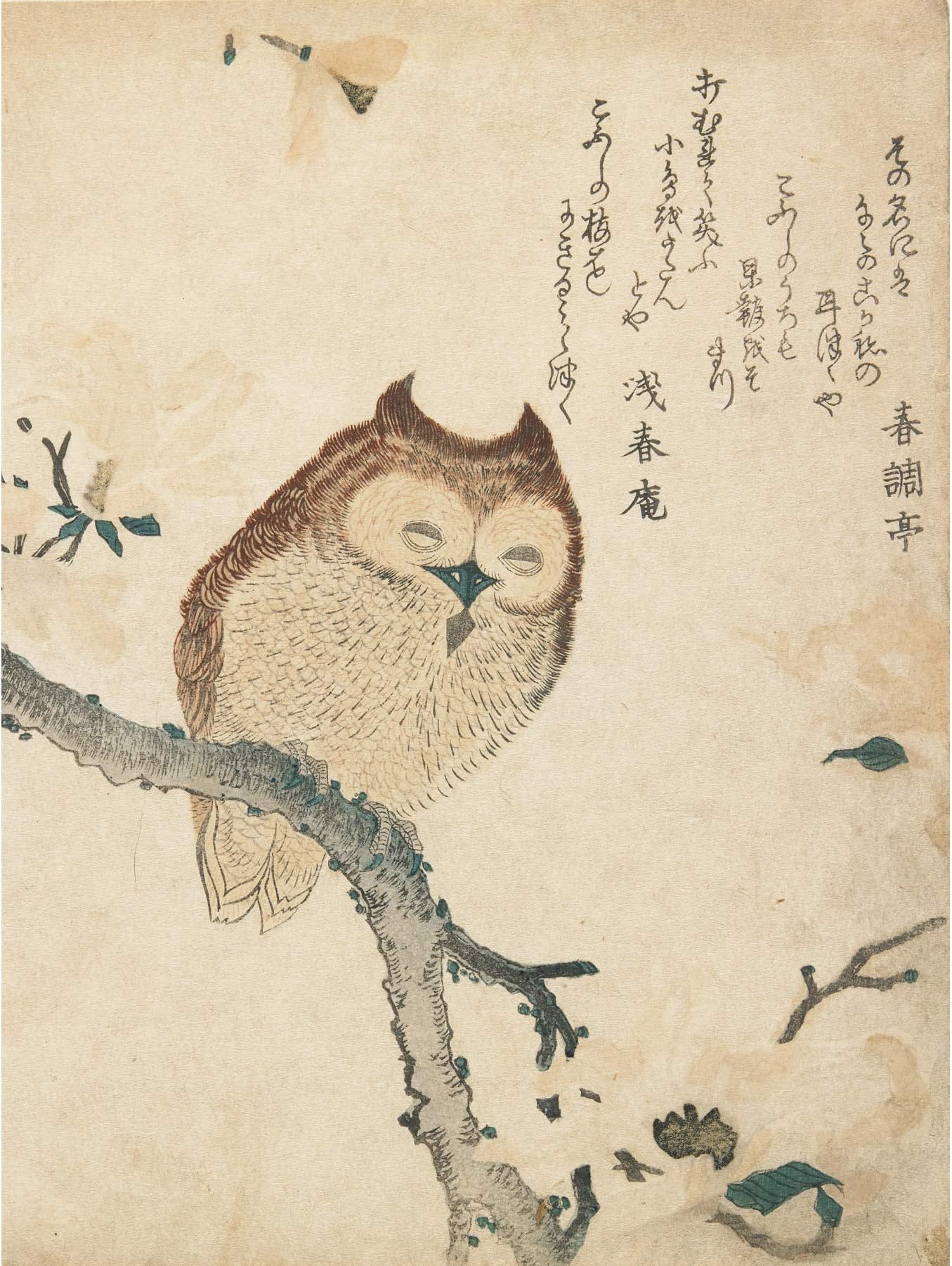Horned Owl Flowering Branch Kubo Shunman Premium Wall Art Canvas Print 18X24 Inch