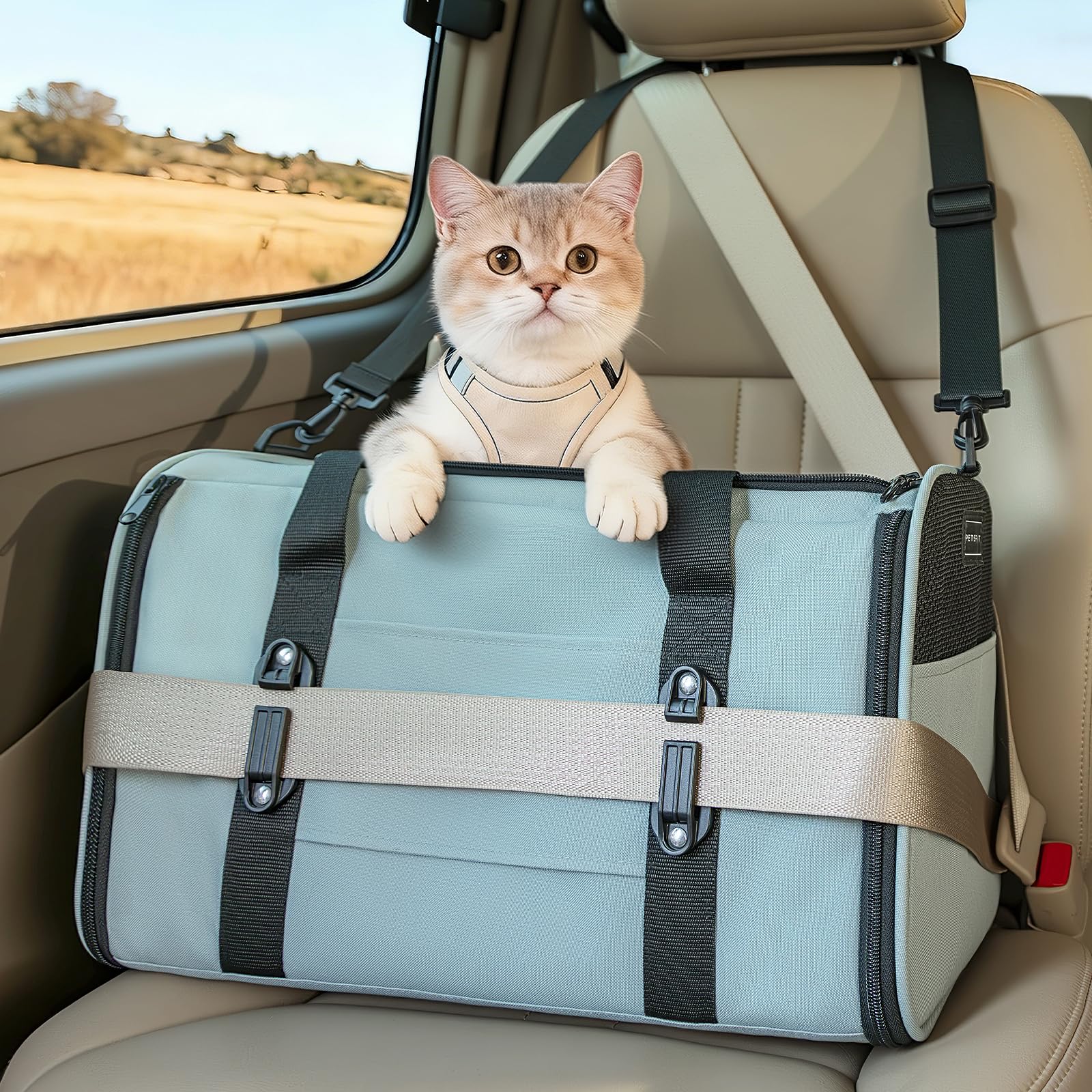 PETSFIT Large Cat Carrier
