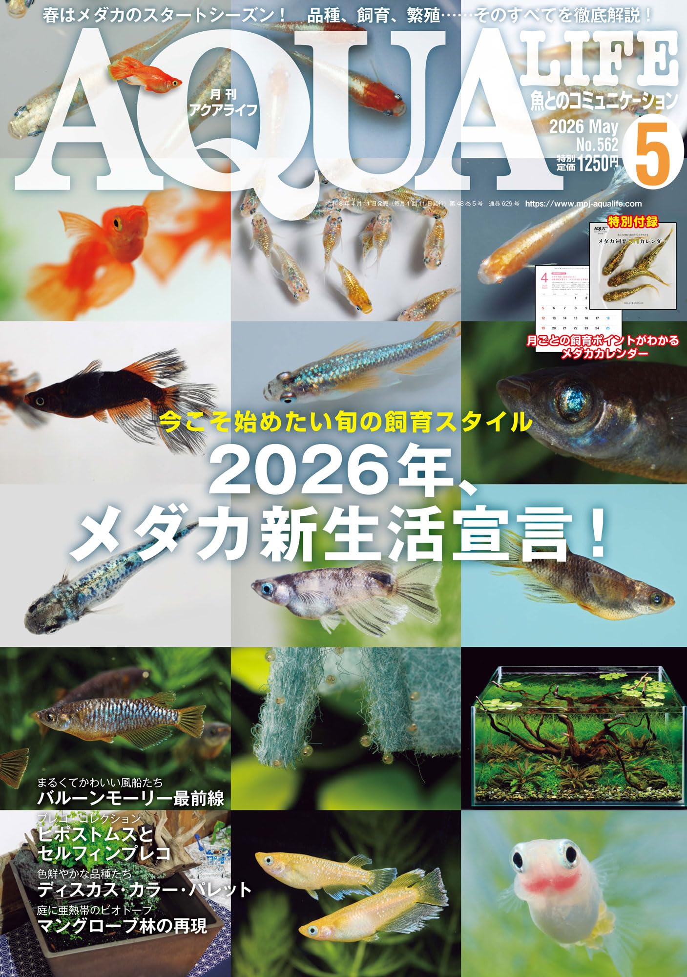 月刊アクアライフ 2026年 05 月号 2026年、メダカ新生活宣言！☆特別