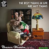 Vista 4 de M00813-FS - Mini luces eléctricas inalámbricas de color blanco cálido para casa de muñecas, paquete de 2 pilas LED incluidas MOREZMORE