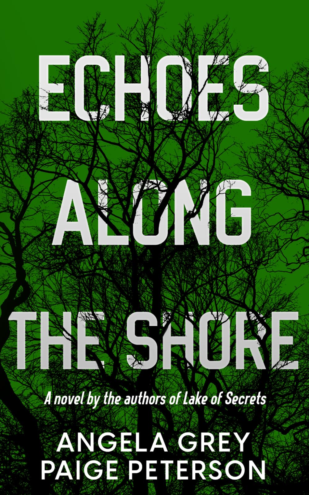 Echoes Along the Shore (Echoes in the North Country)