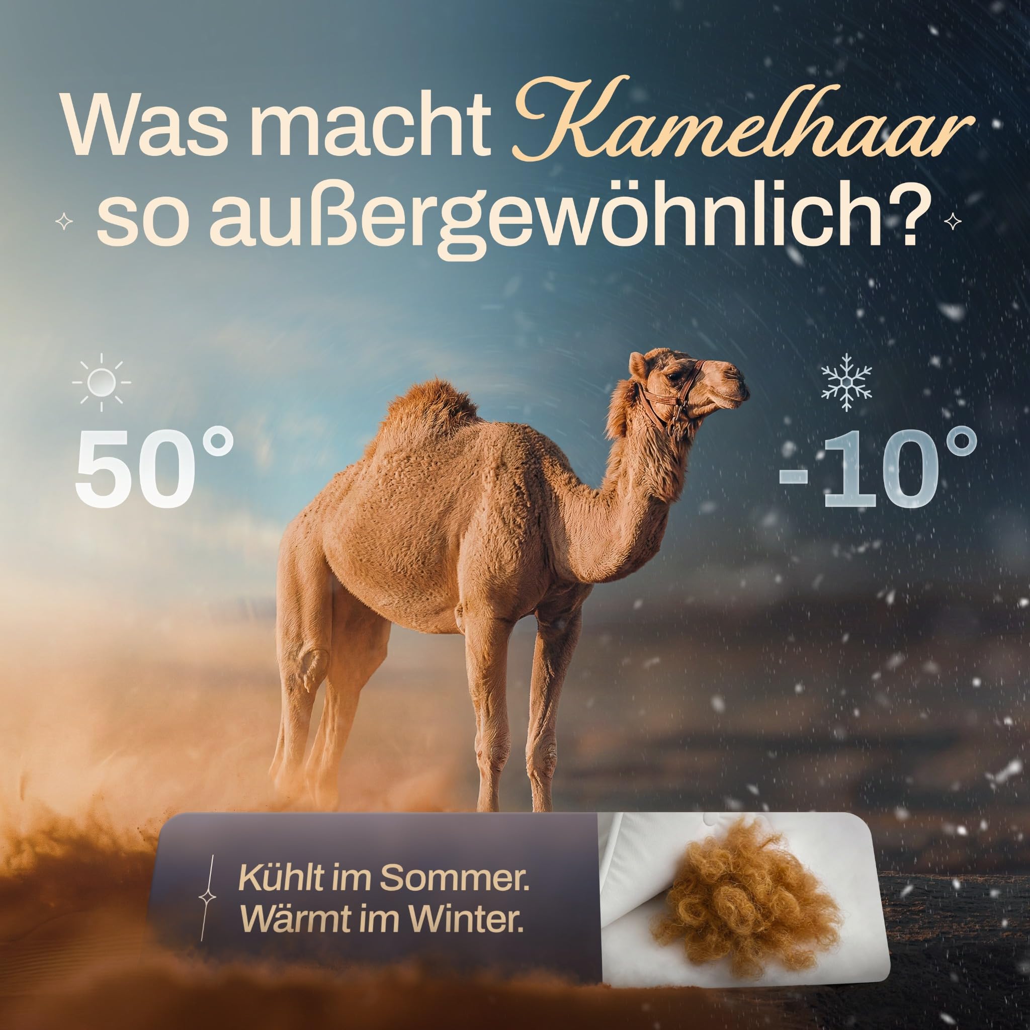 BEFA NATUR Kamelhaar Duo - Winterdecke 135x200 cm – kuschelig warm, 100% Kamelhaarfüllung, Bezug aus Baumwolle, Oeko-TEX Klasse 1, Made in Germany, allergikerfreundlich