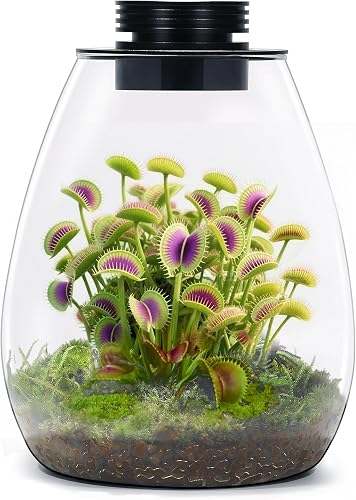 best terrarium kits in Cleveland, OH best terrarium kits in Cleveland, OH
