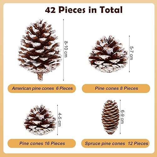 Miniatura 2 de Fovths 42 piñas de pino de Navidad naturales de varios tamaños de 1.6 a 4 pulgadas, piñas pequeñas con púa de alambre, conos de pino rústico de