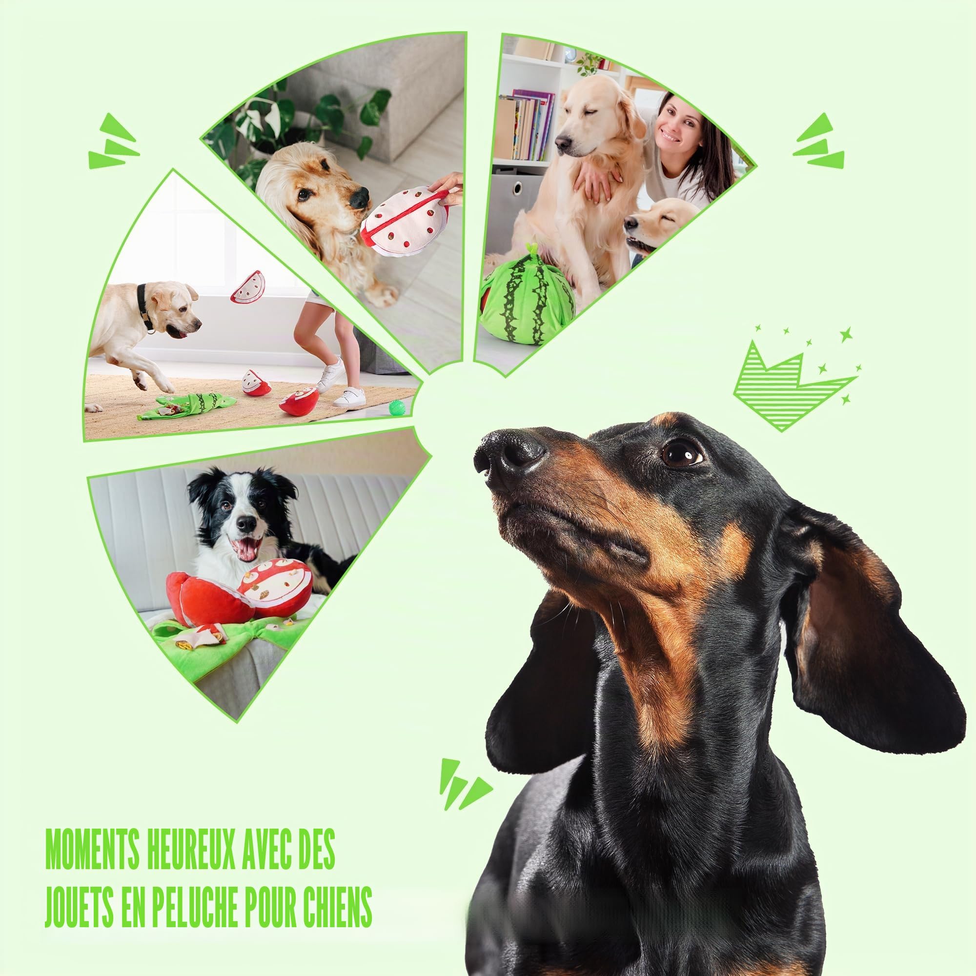 Nocciola 5 en 1 Jouet Intelligence Chien pour Jeu Chien Cache Croquettes | Jouet Chien Occupation Interactif avec Couineur et Papier Froissé, Jeu de Fouille pour Chien et Chiot