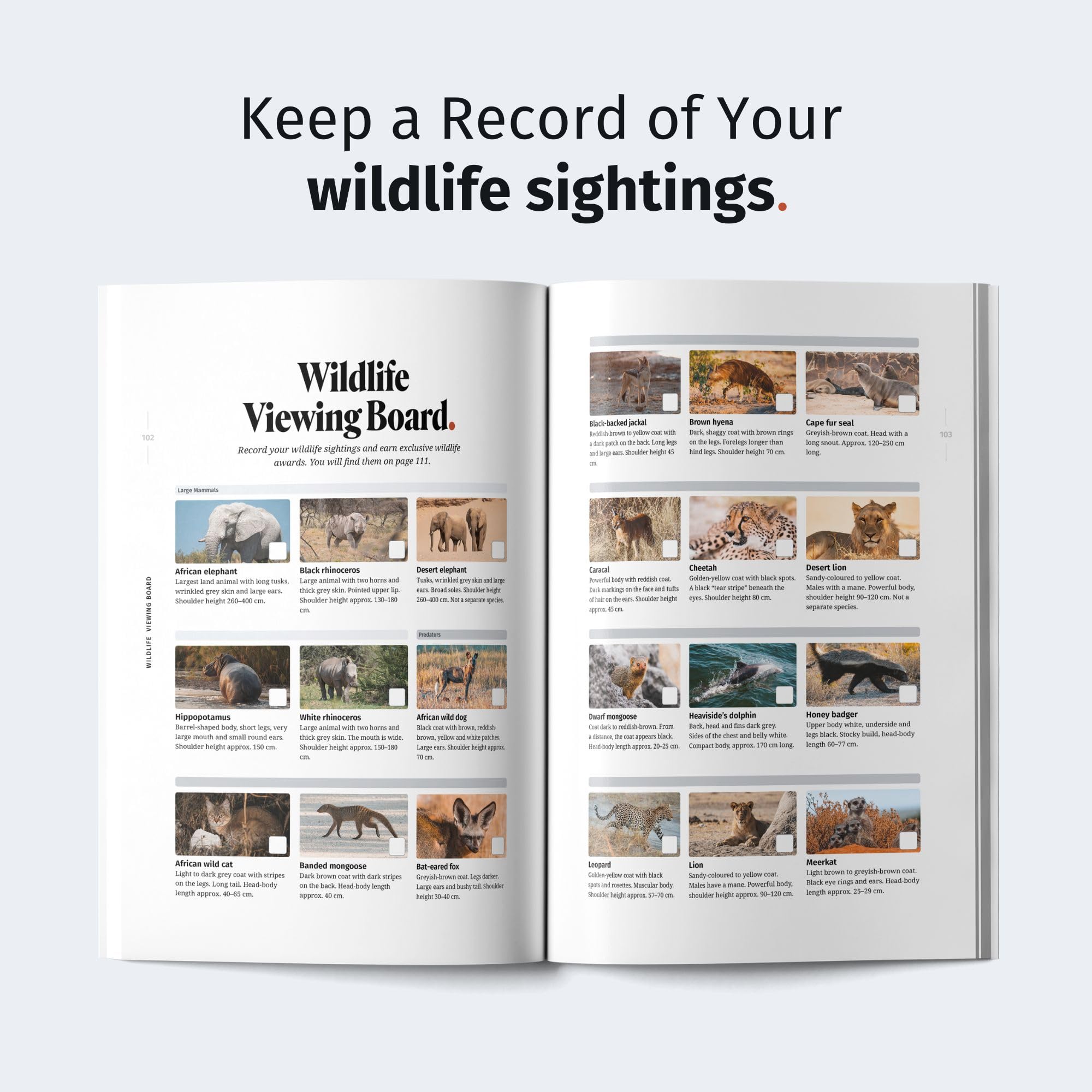 WILDFUL STORIES Namibia Travel Guide with Etosha National Park: Detailed Park Maps for Self-Drivers with Specific Spots and Drives for Unforgettable Wildlife Encounters