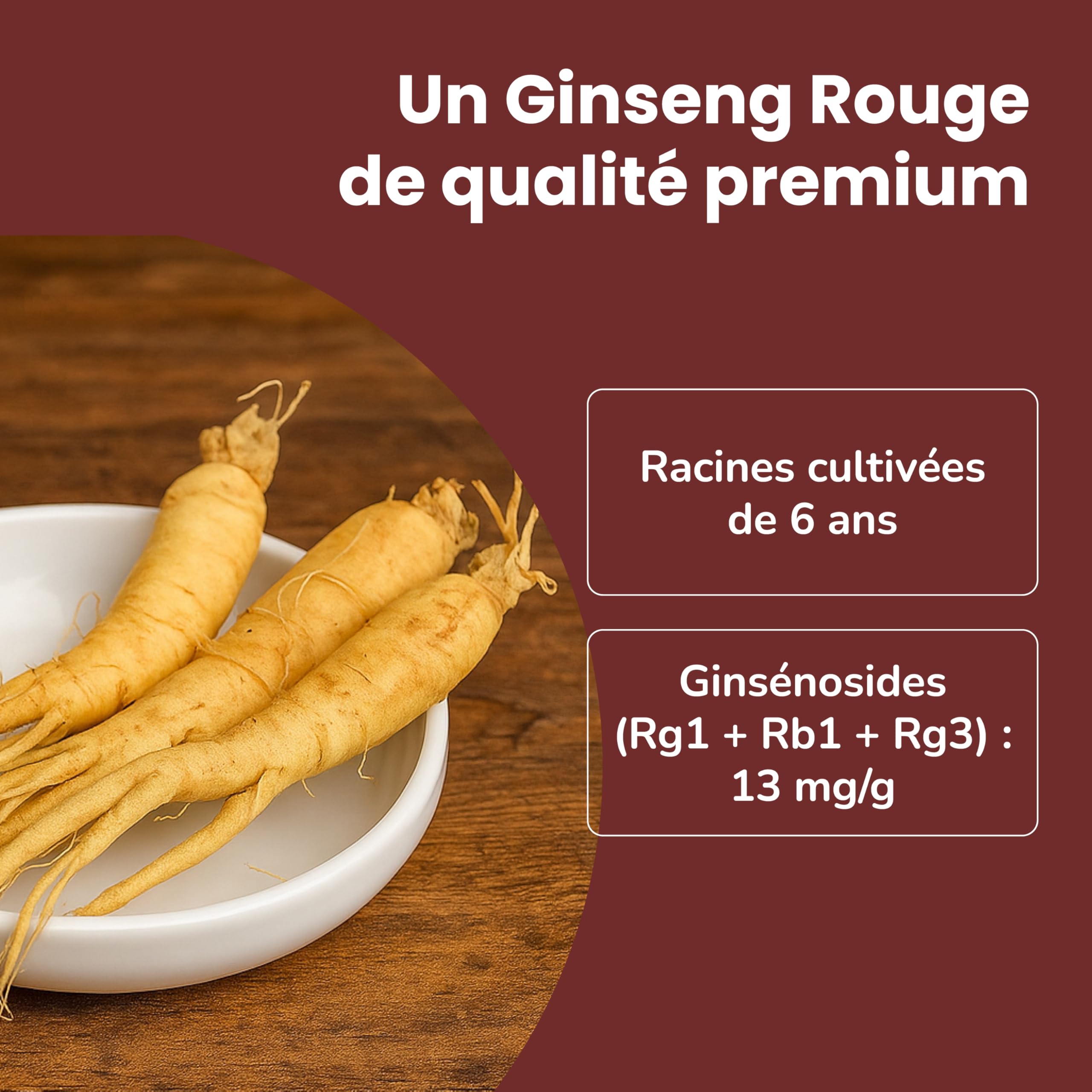 SAMSIDAE - Extrait Gold de Ginseng Rouge Coréen, Concentration Maximale en Ginsénosides 13 mg/g, Racines de 6 ans, Qualité Supérieure, Cure de 45 Jours, 50g