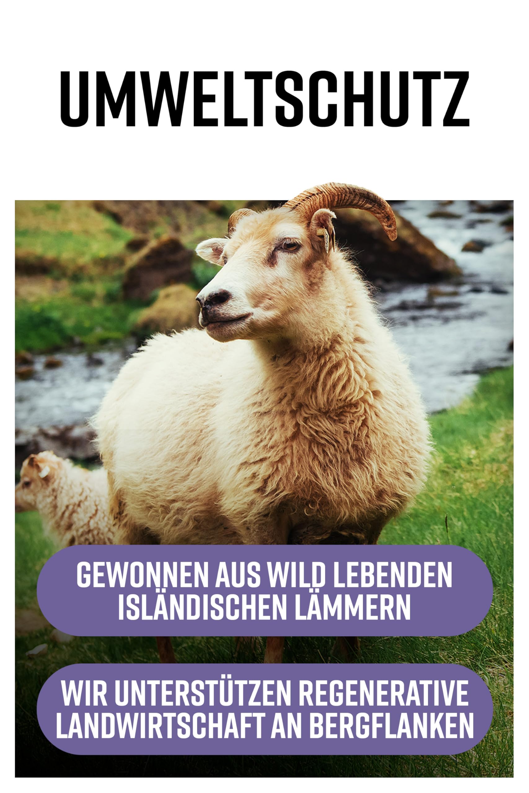 Hunter & Gather Lammleber 90 Kapseln | Ernähungsergänzung aus freilebenden, grasgefüttertem isländischen Lamm | 100% rohe gefriergetrocknete Lammleber | Keine GMV-Fütterung, Antibiotika oder Hormone