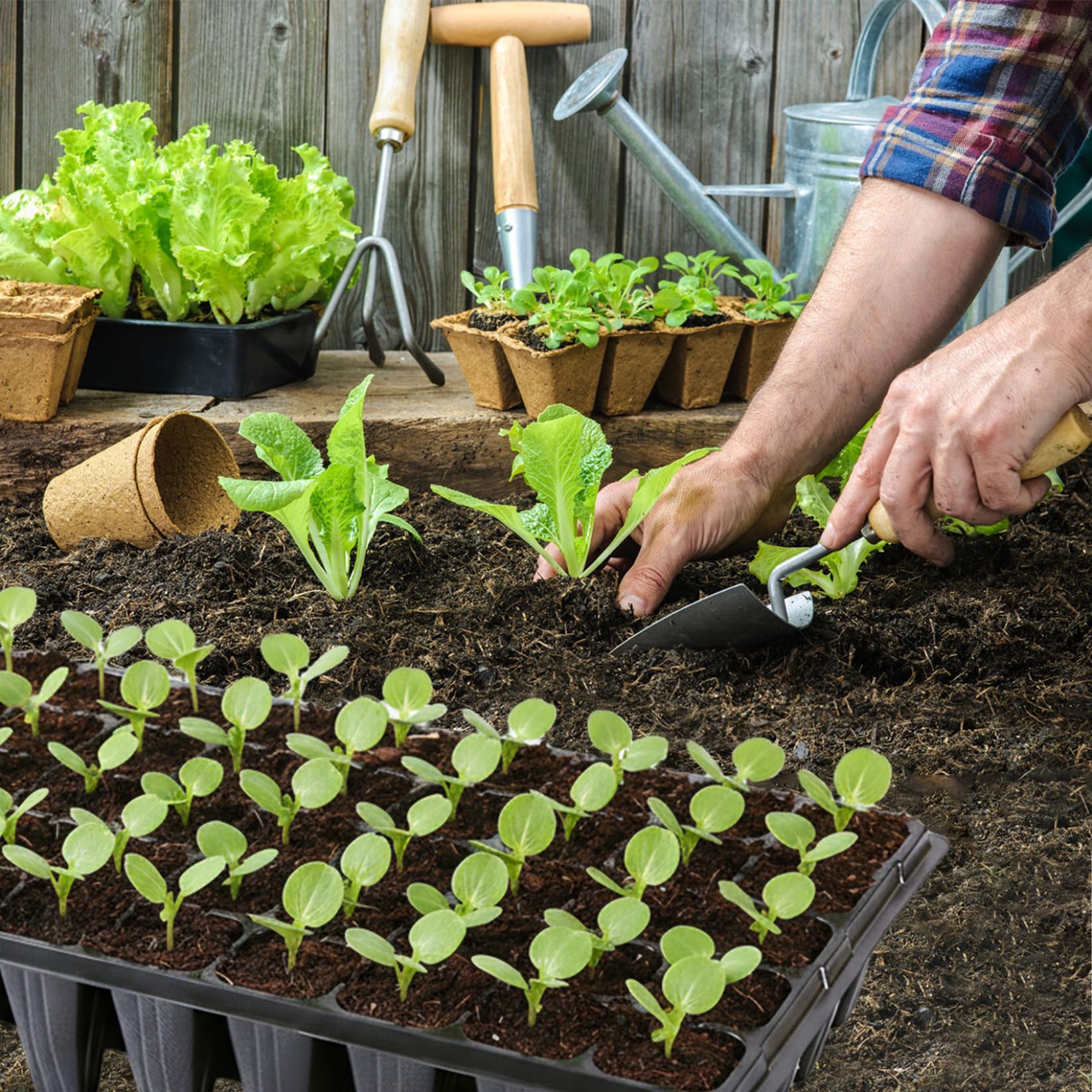 20-teilige Samen-Starterschale, extra Tiefe 50-zellige Samen-Starterschale, robuster Keimbehälter aus Kunststoff für Gewächshaus, Garten und städtische Landwirtschaft, Setzlingsschale