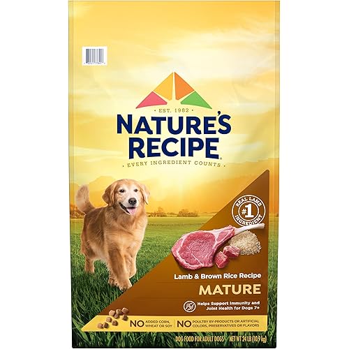 Nature’s Recipe Mature Lamb & Brown Rice Recipe Dry Dog Food, 24 lb. Bag